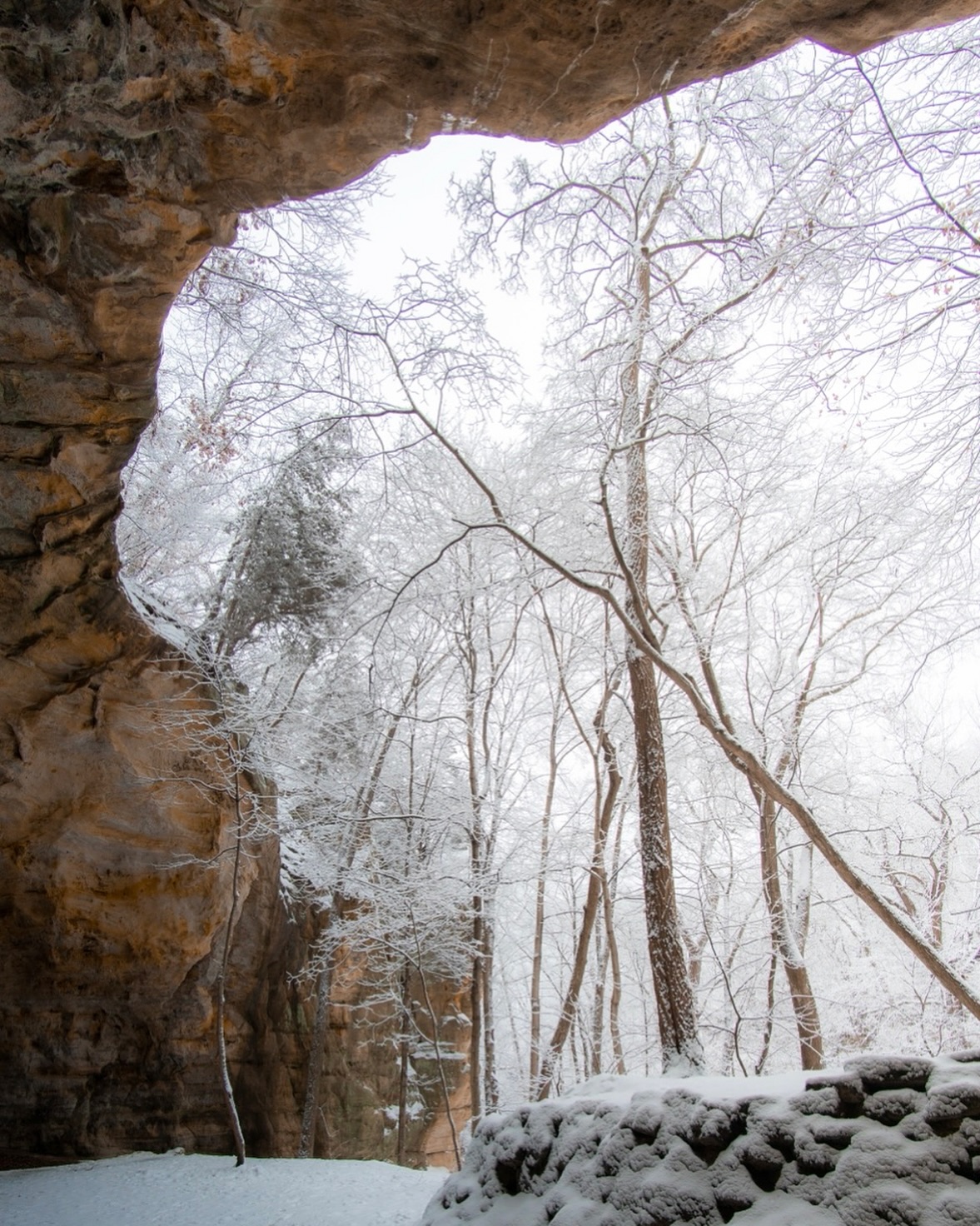 📍Council Overhang | Starved Rock State Park
First big snowfall of the year! ❄️ Trails will be snow-packed and slick on boardwalks. Make sure to plan accordingly, wearing boots, hats, gloves, etc.
Boot traction (yaktrax, ice spikes) are always recommended for hiking in below freezing temps.