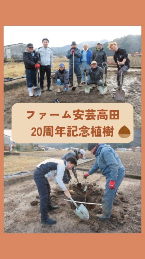 こんにちは!ファーム安芸高田です🌾
このたび設立20周年を迎えました!!
記念に社員全員で、吉田町入江の圃場に栗の木を植えました🌰
グループ会社が運営する民泊「豪農の家」と、栗本創業者の生家の近くです!
栗本グループにちなんで、栗の木を植えました。
ゆくゆくは、ここが地域の方の集いの場になるよう、大切に育てていきます🌱
#ファーム安芸高田 #安芸高田 #農業法人 #20周年 #植樹 #栗本グループ