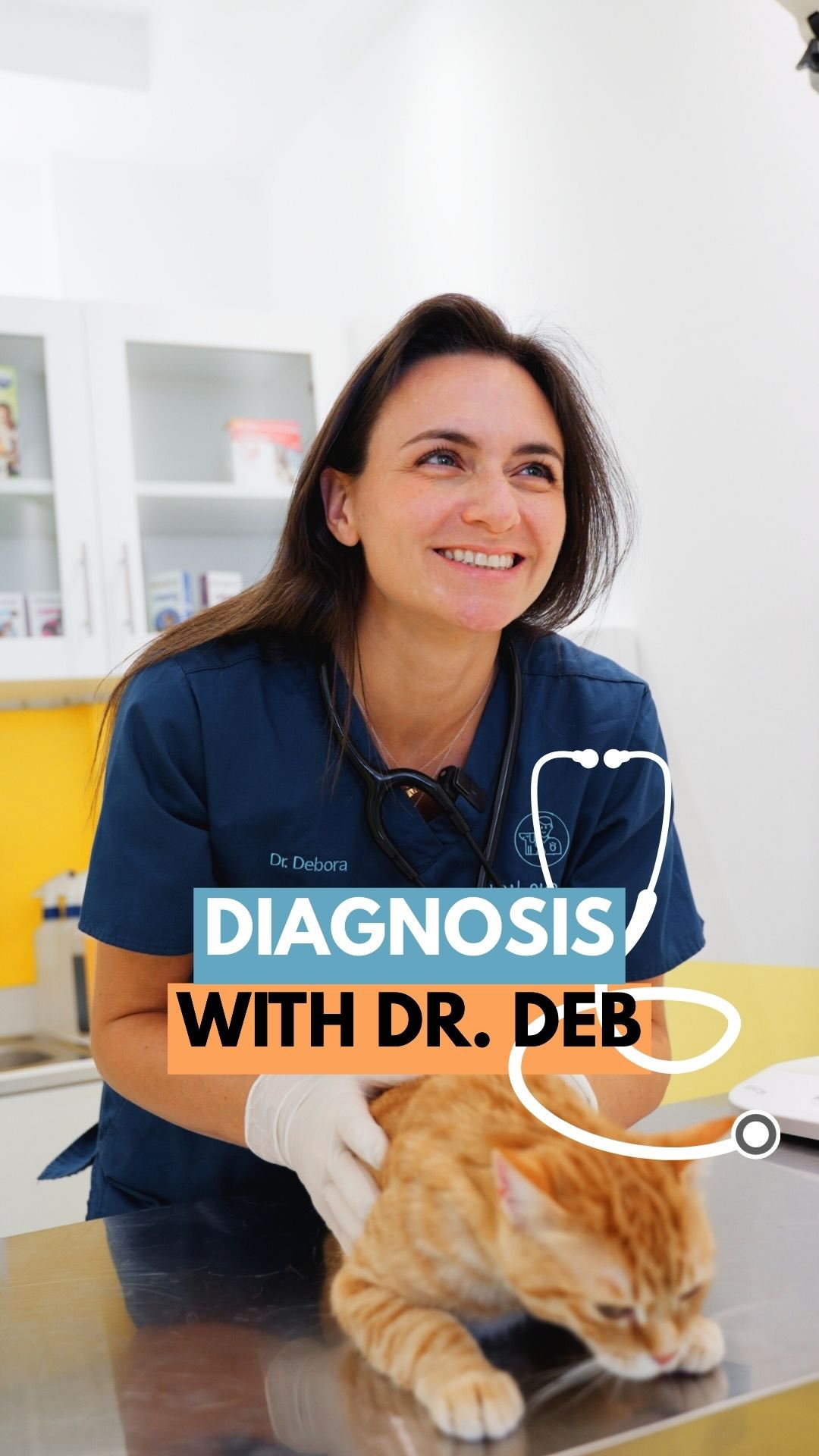 Can our vet guess the case in under a minute? 🔥
P.S. it’s a fun challenge, but remember that every animal needs a full check-up + tests for an accurate diagnosis! 👌🏼
@mikesvetdxb
#vetclinic #vetlife #vetmed #vettech #vetmedicine