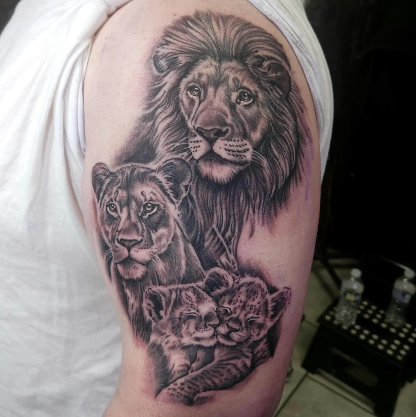 Lion family done in 4 hours by Jon last week!🦁
Clients 1st tattoo & he sat like a champ!
To book with Jon, please call, message or stop into the shop. 😌
#jonathanpinfieldwells #blackballtattoo #midlandmi #michigantattooartist #englishjonny #michigantattooers #mtpleasantmi #baycitymi #saginawmi #detroitmi #blackandgreytattoo #wildlifetattoo
