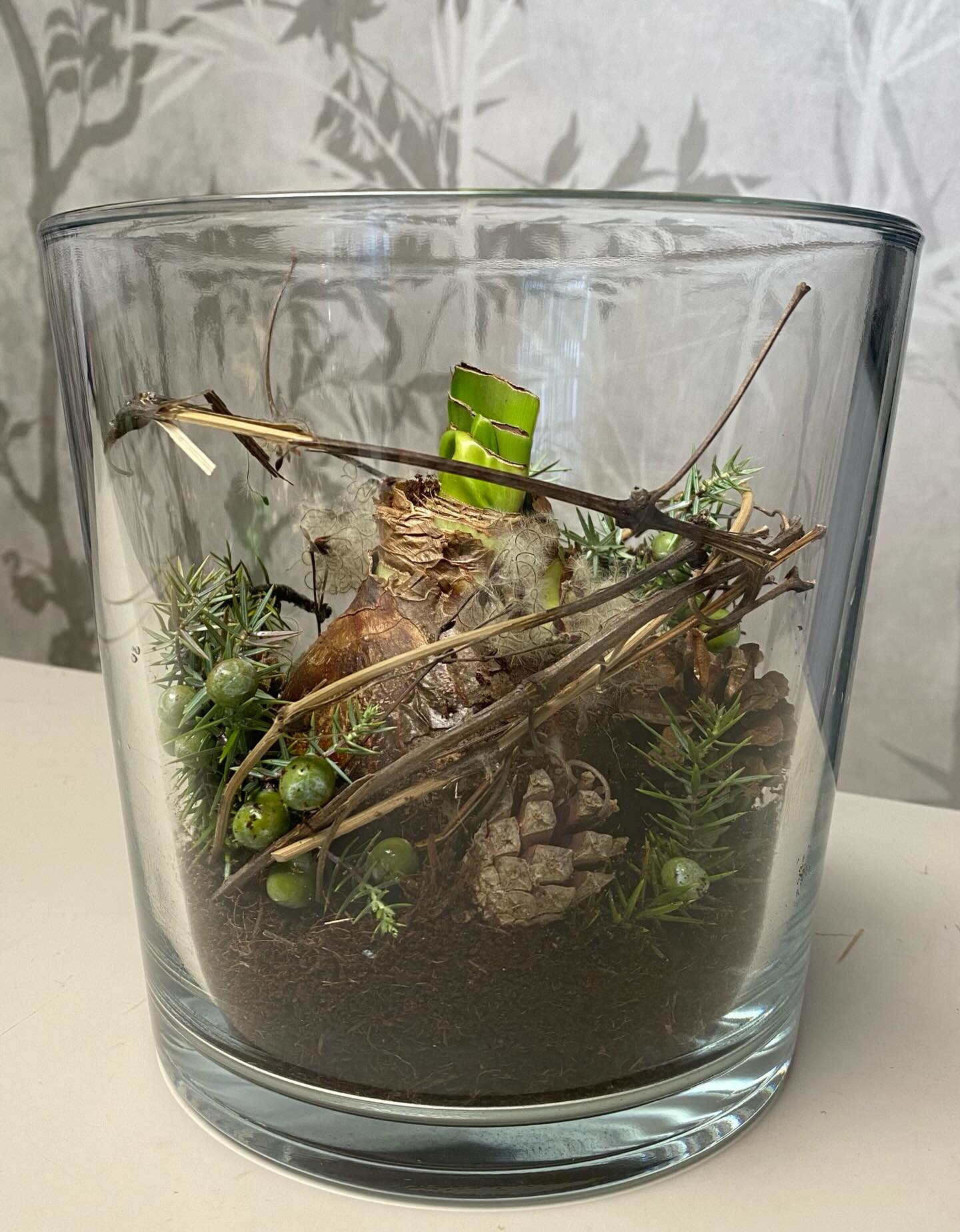 Sie braucht nur wenig Pflege, mag einen hellen, nicht zu warmen Standort und überrascht in ein paar Tagen mit imposanten Blüten - die Amaryllis.
#amaryllis#ritterstern#blütenpracht#rot#weiss#pink #grün#natur#florist#floristin#handwerk#qualität #vorfreude#weihnachtszeit#meisterfloristin #blumenstrauss#lokal#saison#saisonal#dürnten
AMARYLLIS
FLORISTIK
FLORISTIN
GESCHENK
SCHENKEN