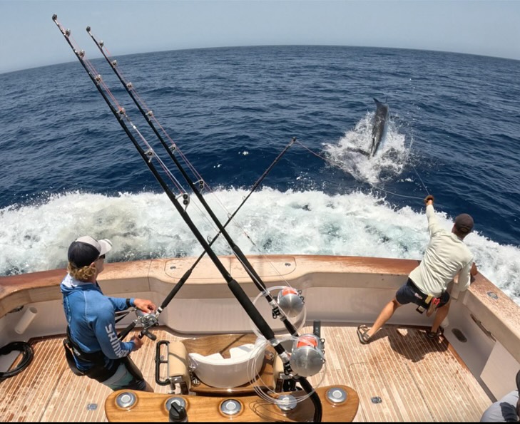 Blue marlin that melt drags. Black marlin that test every knot. Thatās the primary focus in Episode 74 of Saltwater Euphoria Podcast with Dean Comberbach. Our host @captainrickywheeler dives into the craft of a world-class traveling first mate with guest @deancomberbach . His travels to target big marlin in remote parts of the world shine through in this podcast on how important it is to stay three steps ahead when chaos hits, how hard you have to work to make your best catches happen, and how much sweeter accomplishing feats can be when the effort all comes together.
Blue link in bio to listen to the podcast
#saltwatereuphoriapodcast #livetofish #bigmarlin #marlin #marlinfishing #fishandtravel