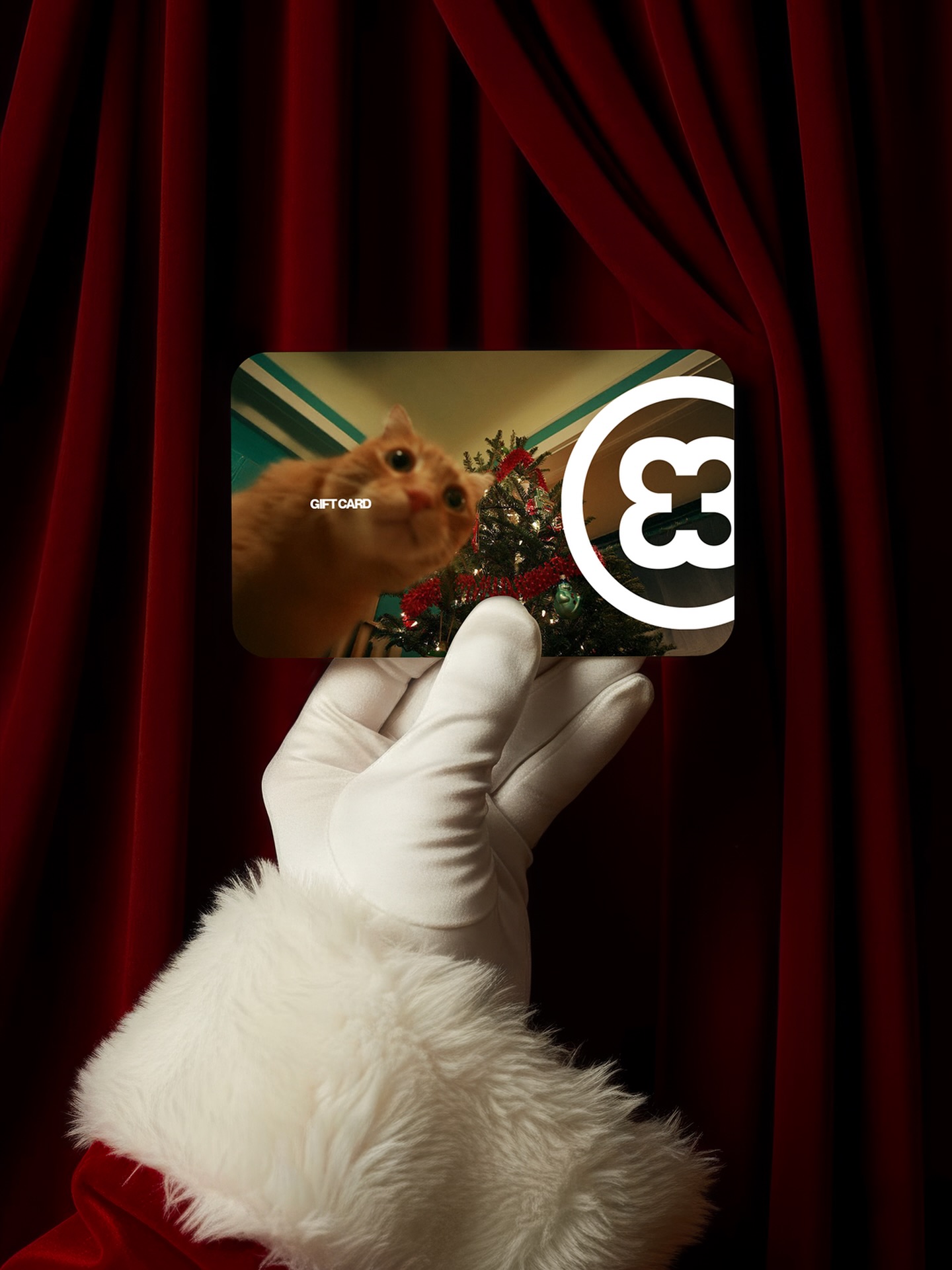 En cette période de fêtes, nous tenons à vous remercier.
Depuis la création de Vinylacy il y a un an et demi, nous avons été entourés de votre amour, de votre confiance et de votre créativité. Alors que nous préparons les dernières commandes de Noël, notre édition 12 "XTRA est maintenant officiellement épuisée (retour en janvier).
Mais si vous souhaitez tout de même placer quelque chose de vraiment spécial sous le sapin, notre carte cadeau est le moyen idéal d'offrir l'expérience Vinylacy : planifiez la livraison, ajoutez une vidéo personnelle et laissez votre bien-aimé(e) donner libre cours à sa créativité.
Un cadeau bien pensé.
Un cadeau qui devient le leur.
Je vous prie d'agréer, Madame, Monsieur, l'expression de mes salutations distinguées,
L'équipe Vinylacy 🤍