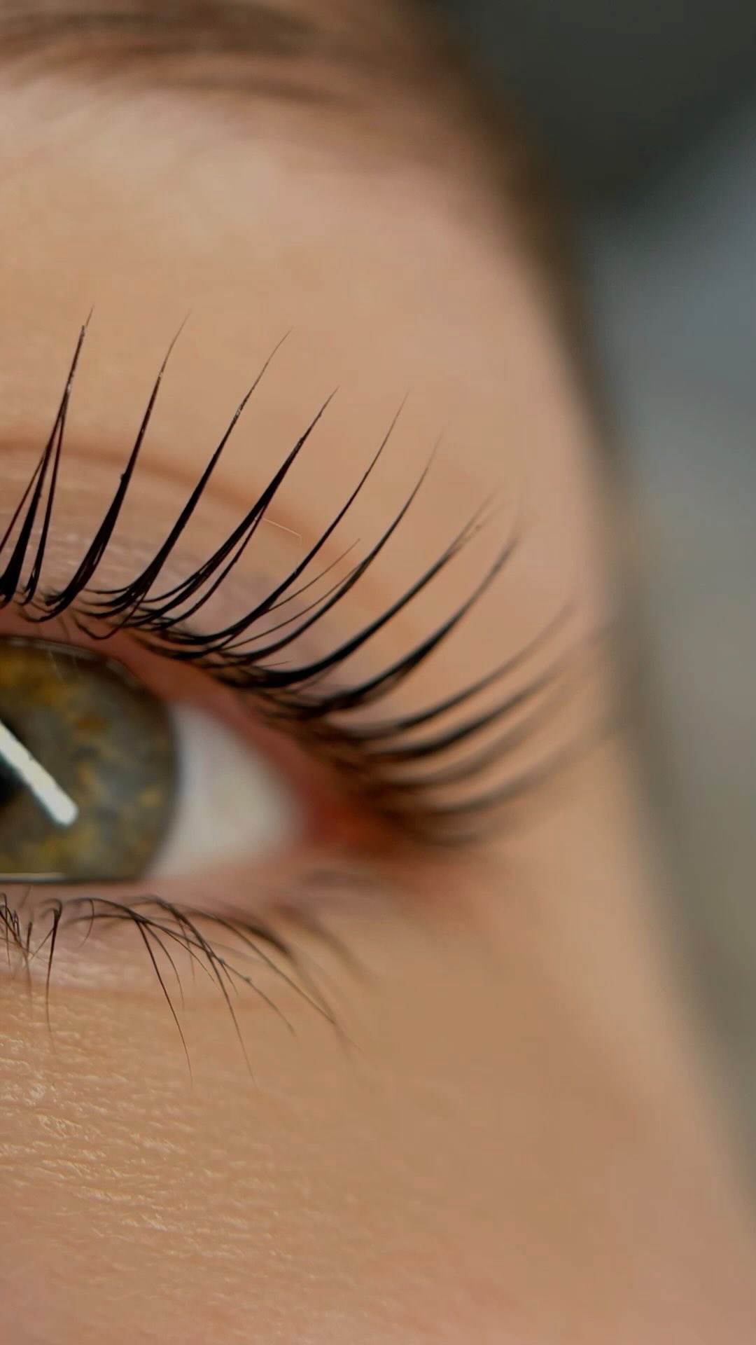 Whether you’re coming in for a lash lift, tint, brow lam or teeth whitening, the goal is always the same: effortless, natural beauty 🤍
Every service is designed to enhance your features in a way that still feels like you - just enhanced, lifted and glowing.
Ready to book your next appointment - link in bio ✨
#vibeauti #oakvillebeauty #oakvillesmallbusiness #gtabeauty #oakvillelashes #lashlifts #lashliftandtint #naturalbeauty #naturalbeautyenhanced