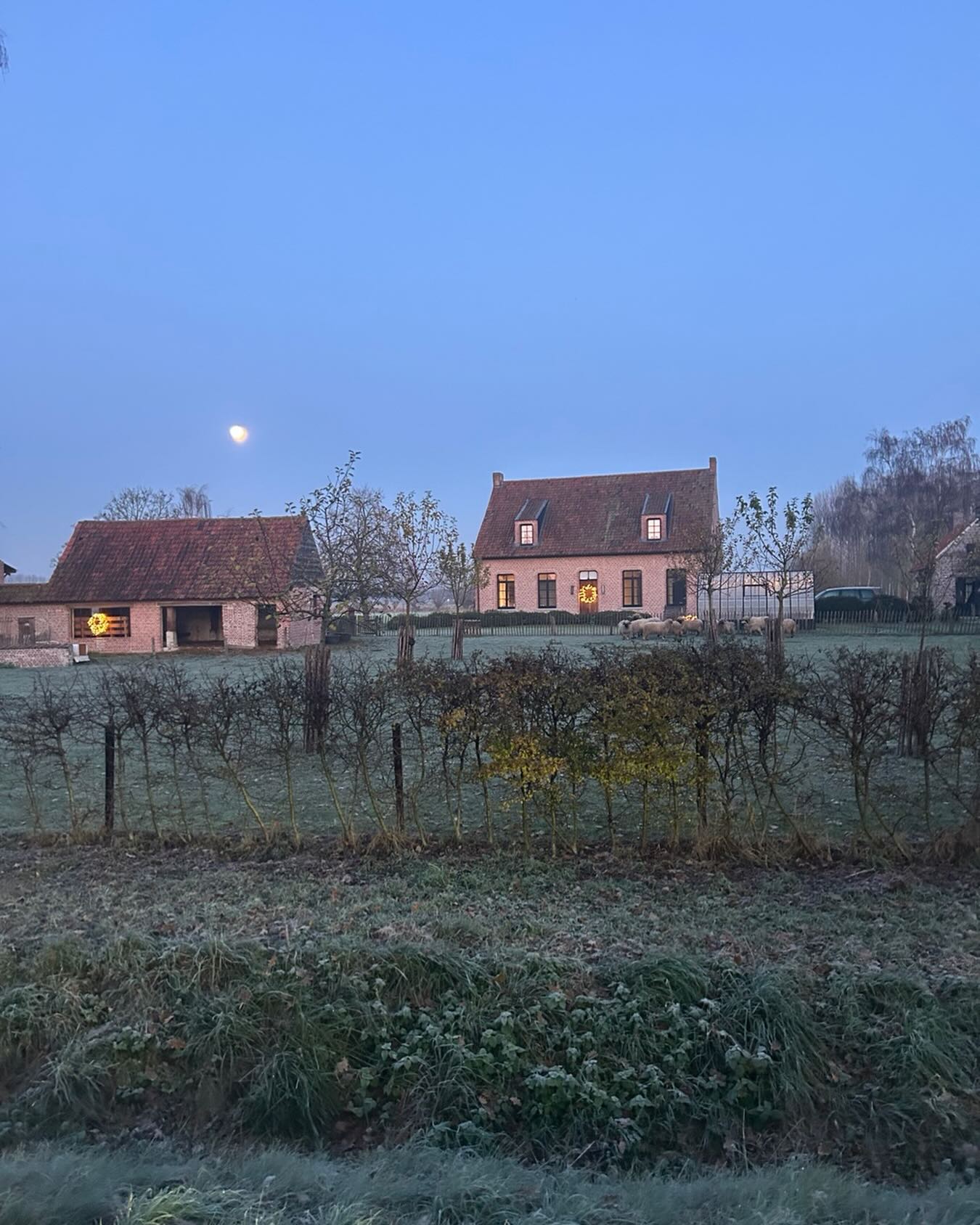 ❄️❄️❄️❄️