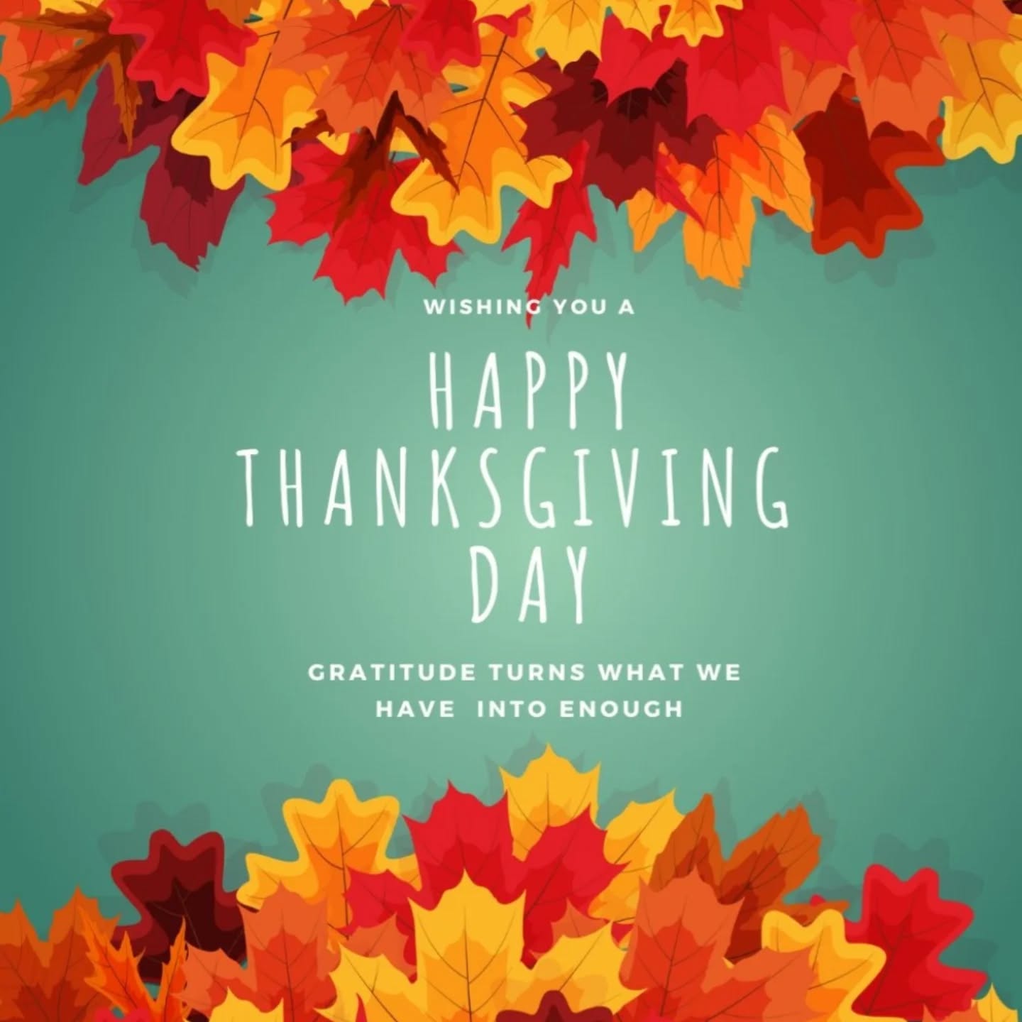 Happy Thanksgiving ! Gratitude is the best attitude.😊💜
God bless you!!!🙏🏾