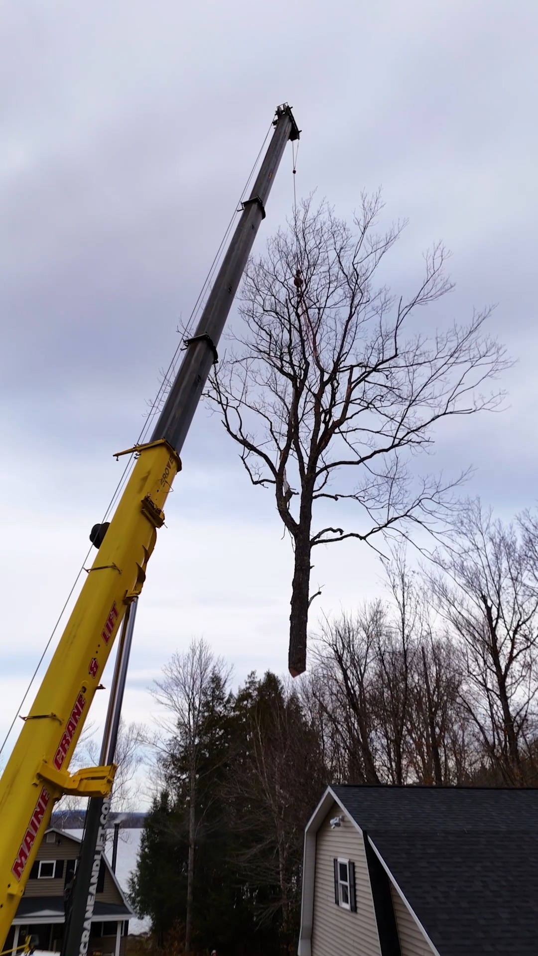Little known by the general public: most jobs involving crane work are a cost saving measure. The time saved in manpower offsets the cost of bringing in the heavy duty equipment.
Apparently it'd take a lot of us on the crew to do the same amount of work as one giant crane. Go figure.
.
.
.
.
#belangertreecare #arborist #arboristsofinstagram
#skowhegan #skowheganmaine #forestry #chainsaws
#centralmaine #mainebusiness #treecare
#treecarebusiness #treeclimbers #logging