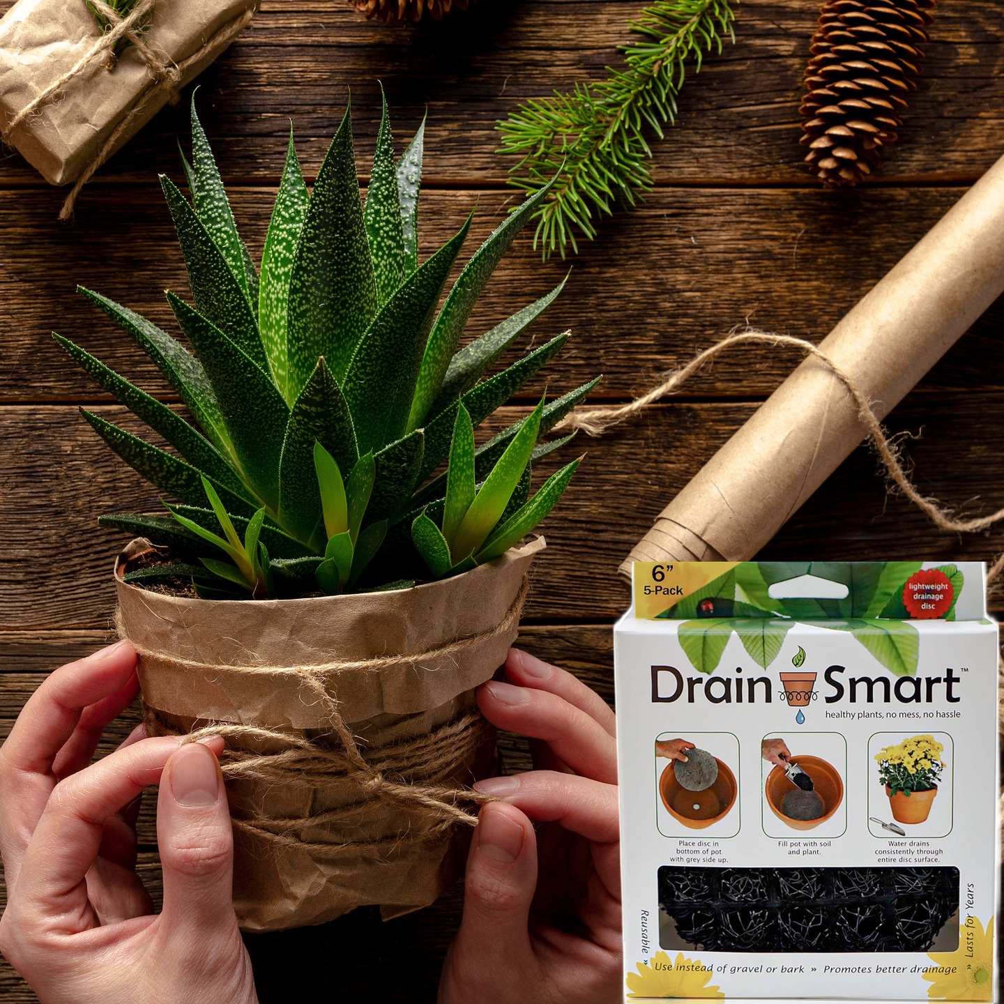 Wrap Up a Little Love This Holiday Season
Indoor plants make beautiful holiday presents — and pairing them with Drain Smart discs makes them even better.
Give the gift of thriving plants, not soggy soil.
Drain Smart discs keep roots healthy, drainage flowing, and plant lovers smiling all season long.
Wrap up a little love, a little green, and a whole lot of joy this holiday. 🎄Shop now at drainsmartusa.com or Amazon.
Plant smarter. Gift smarter. Drain Smart.
#HolidayGifts #PlantLovers #DrainSmart #PlantSmarter #IndoorPlants #GiftIdeas