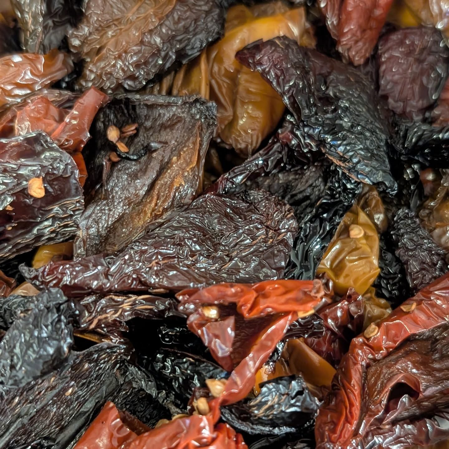 Our Chipotle Sauces have become our biggest seller over the 2025 season. Find them at our winter markets before they are gone for the season! Market dates/location listed on our website!
•
•
•
#PepperBusiness #HotSauce #FermentedHotSauce #FreshPeppers #PortlandOregon #StJohnsFarmersMarket #PDXPeppers #ChiliPeppers #SpicySauce #ThePepperNursery #ArtisanHotSauce #FreshLocalPeppers #PortlandPeppers #PDXFoodies #PDXFarmersMarket #FarmToBottle #PepperFarm #FermentedPeppers #SpicyFoodLovers #PDXart #LocalHotSauce #PepperGrower #PortlandFarmersMarket #ChiliHeads #FarmersMarketFinds #PDXSpicy