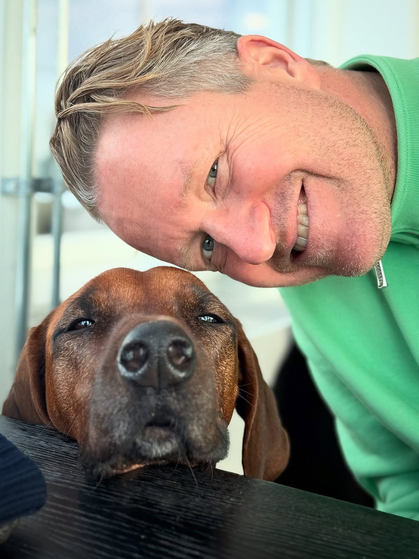 Gleiche Situation, anderes Level Begeisterung.
😄👱🏻♂️ | 🐕😐
#ridgeback #rhodesianridgeback #dogdad #🐶 #hundepapa #herrchen #hundeliebe #hundeglück