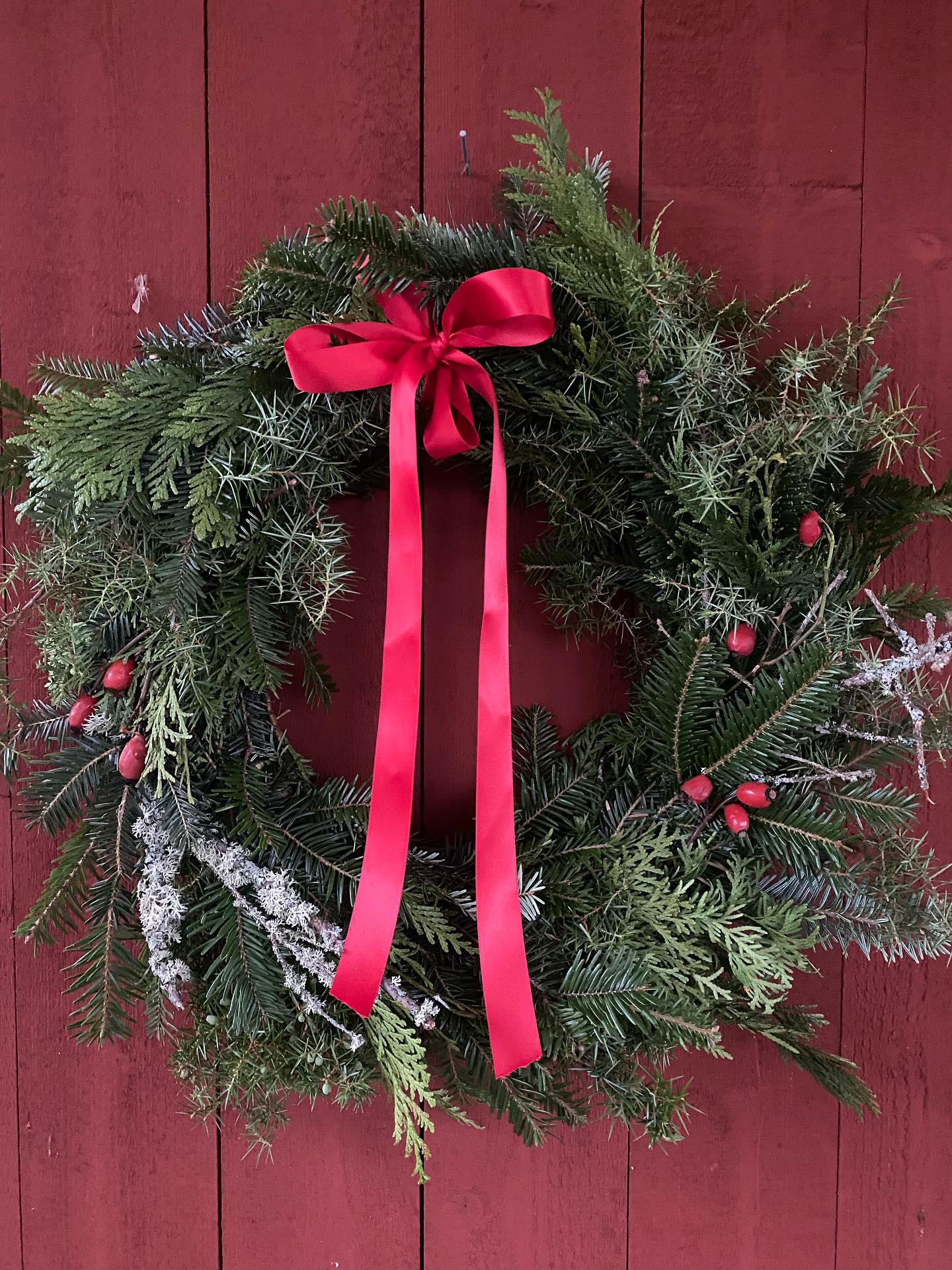 ✨🌲 ÅRETS DÖRRKRANS🌲✨
Till helgen kommer jag att sälja dörrkransar på Öppet Hus hos @petralundslera i Edsvik. Jag tillverkar också på beställning inkl fri hemleverans till dörren inom Sigtuna/Sollentuna. Stommarna är 40 cm i diameter, vilket räknas som stor krans.
Skicka sms för krans 1 (med rött band) eller krans 2 (med brunt band) samt namn och leveransadress. Pris: 450 kr. Betalning sker vid leverans. Obs! Begränsat antal.
💫 KONTAKT:
070-3397504 alt mail: anna@majgarden.se
// Varma kramar Anna🧑🎄❤️