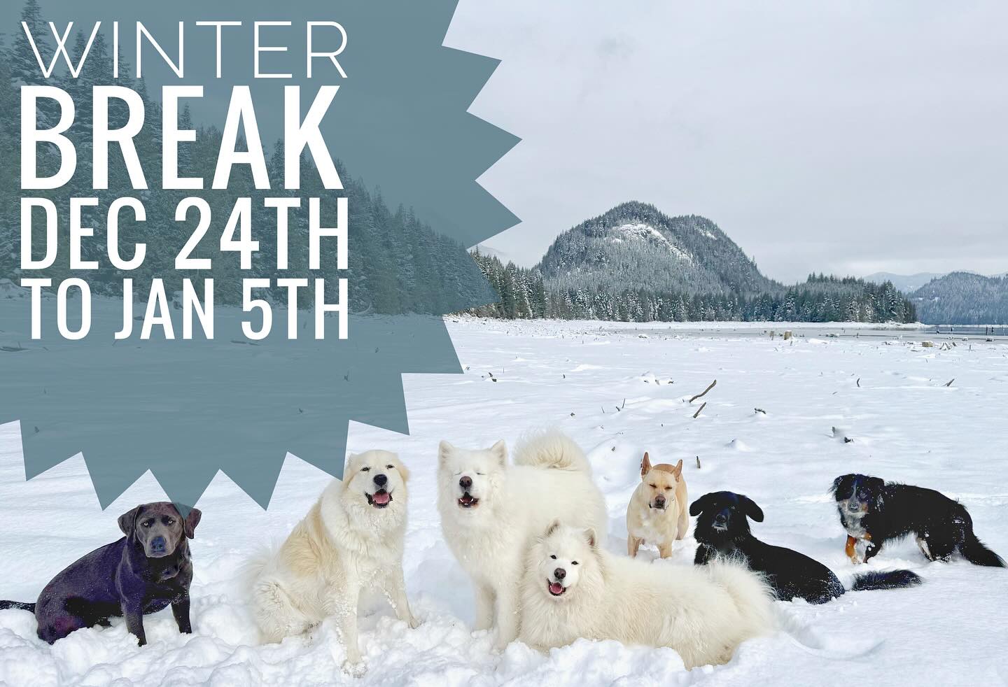 Pup Country will be taking a much needed break!🥰 No adventures Christmas Eve till January 5th!