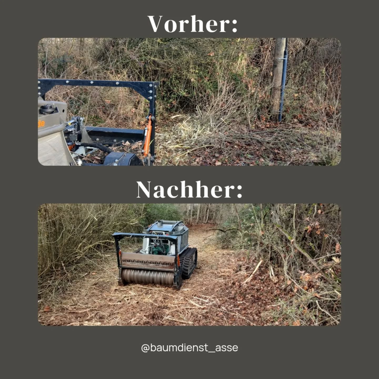 Verbuschung, Entbuschung, Pflege💪
Egal ob Zauntrasse, Pferdekoppel oder brach liegendes Grundstück, wir schaffen Platz für neue Möglichkeiten.
Speziell auf steilem Gelände, feuchtem Untergrund oder enger Zuwegung macht die Forstraupe Moritz FR 75 mit 75 PS perfekte Arbeit.
Brauchst du auch Platz auf deinem Grundstück?
▶️Meld dich einfach per PN
📧 kontakt@baumdienst-asse.de
#entbuschung #forstmulchen #koppel #koppelpflege #mulchen