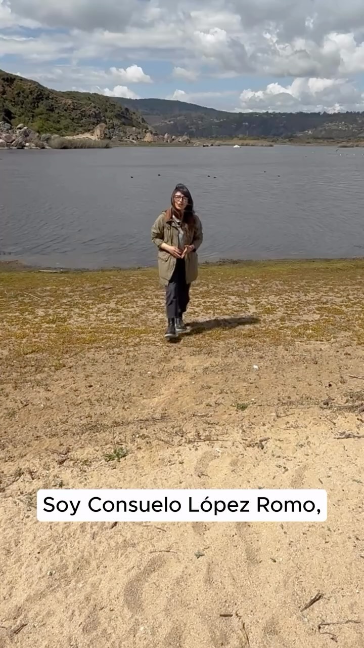 El Santuario Humedal Tunquén es el resultado de años de trabajo y una visión clara: proteger este ecosistema para las futuras generaciones.
En este reel, su presidenta comparte cómo nació y se consolidó esta protección