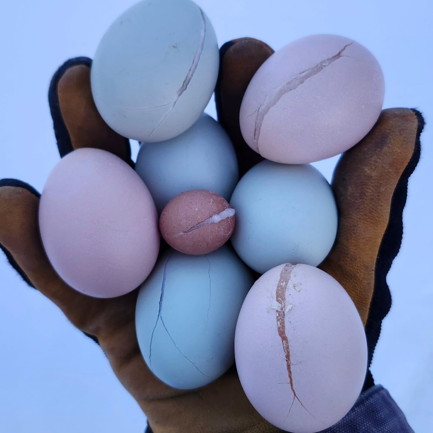 I'm already over winter... but, our first fairy egg! How cute.