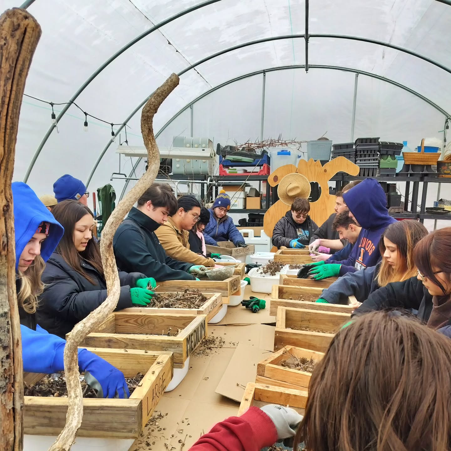 Wednesday Moment of Zen. Super windy and cold so we processed native plant seed for restorations on campus. Yellow coneflower, bee balm, compass plant, and others. In a world of those who destroy, choose to be one who heals and regenerates the earth. It'll do wonders for healing your spirit as well. Peace, y'all.