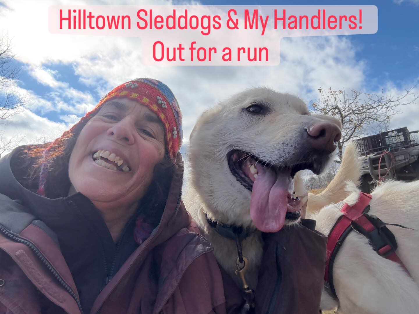 Come visit the Hilltown Sleddogs for a “Ride” or a “Kid’s Camp” 12/30 10am-3pm! #hilltownsleddogs #lovemydogs #lovemykids #lovemylife