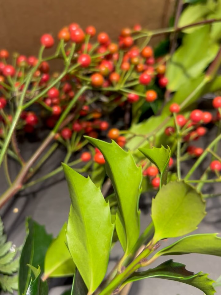 Sending love into nature this season with a beautiful bird feeder wreath, beautiful and functional 😁#galway #christmas #christmaswreath #birdfeeder #yes_flowers