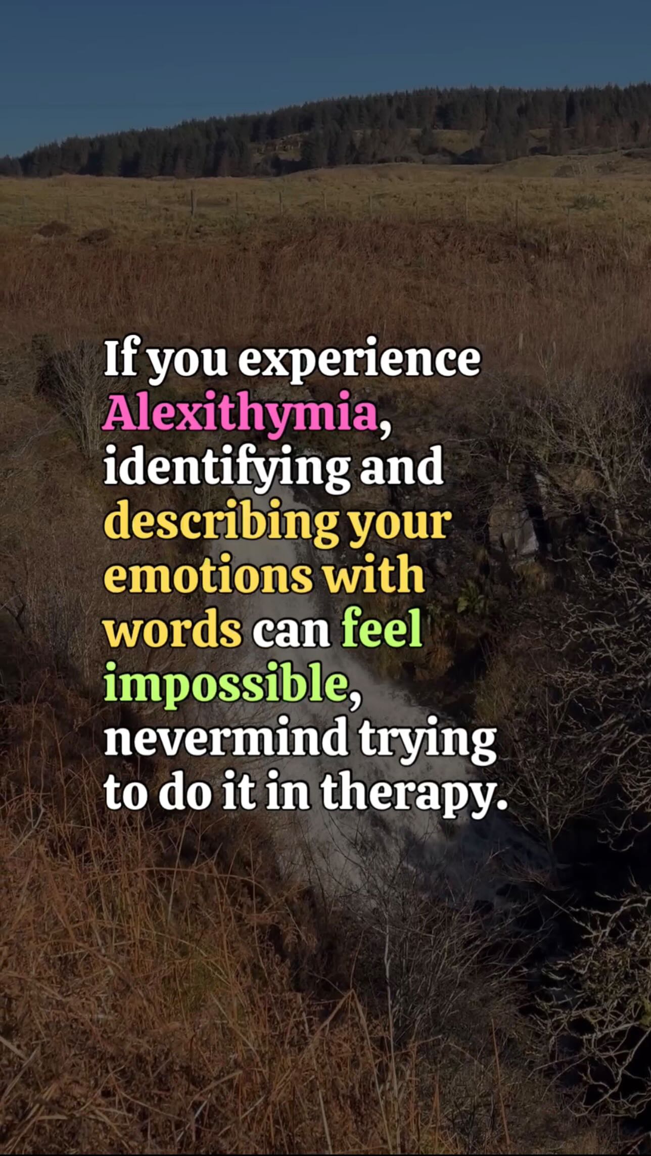 Therapy doesn’t need to be just talking, and that’s a hill I’ll die on. One of my fav ways to explore using other languages of emotion is online sand tray for example. Where you get to create a whole world during a session using shapes, landscaping and symbols 😍
Similarly, using metaphors can offer a gorgeous insight into ourselves. Maybe you don’t identify with feeling ‘sad’, but maybe you do feel like you’re sitting in the bottom of a deep, dark pool.
Or what if instead of feeling ‘angry’, you feel like ‘it’s raining blood’ by Slayer? 👀
Whatever the weather, do you 🙌
#therapy #therapistthoughts #nonmonogamy #trauma #lgbtqia #queer #psychotherapy #irish #ireland #relationships #scotland #scottish #glasgow #england #uk #wales #northernireland #enm #queertherapist #lgbtq #mentalhealth #mentalhealthawareness #healingcentred#neurodivergence #autism #adhd #hsp #dyslexia #dyspraxia #neuroqueer