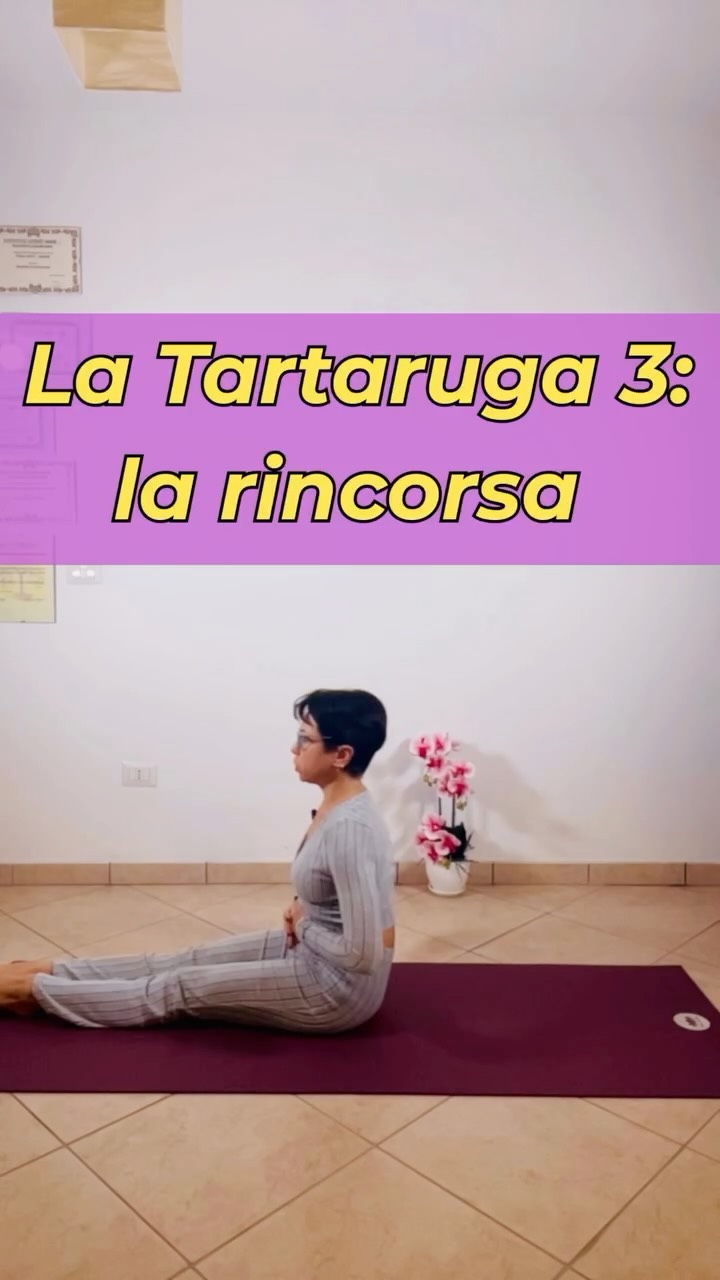 🌀 Spoiler: la tartaruga ha preso la rincorsa!
🐢 La tartaruga 3: la rincorsa
Dopo il letargo… ora si corre (o quasi 😅).
Questo esercizio di Kundalini Yoga attiva gli addominali e fa salire l’energia come un’onda 🔥
✨ Respira, muoviti e senti la potenza del tuo core.
👉 Il corso completo di Kundalini Yoga è nel link in bio
#KundaliniYoga #RisvegliaLaTartaruga #YogaAddominali #YogaReel #EnergiaInteriore #YogaLife #Consapevolezza #YogaFun #CoreAwakening #YogaJourney