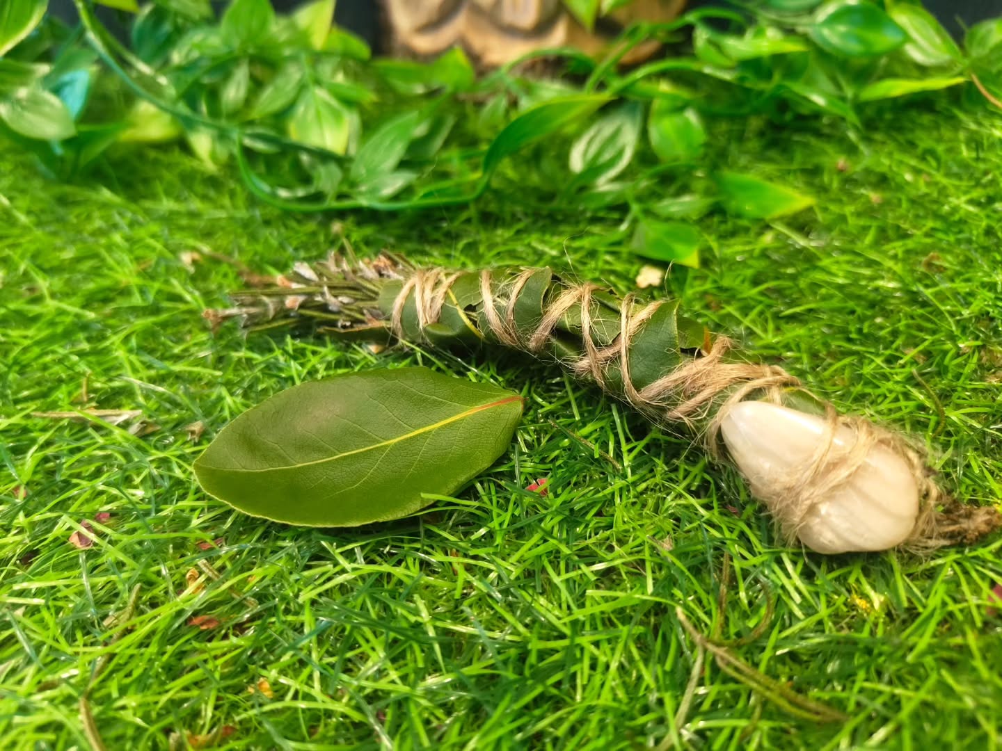 Good afternoon Wytches, so today is the biggest super moon for the next 42 years, so I hear.
Can you feel it? Do you feel your shadow today? Your fears? Worries and more today?
If you are don't worry,I feel you, I'm feeling all my triggers being activated too!
Take today to focus on what you're feeling so you can release it!
Write down your fears and burn them, scatter the ashes to the Winds!
Let Energy and intention be your attention, know that as you speak you create and what you will you direct and shape! You are the Witch after all!
Tomorrow will bring a new sun rise.
I've created this little herb bundle to burn for later - will let you know how it goes!
See you all soon!
Blessings of the Land Sea and the Sky ❤️❤️❤️❤️