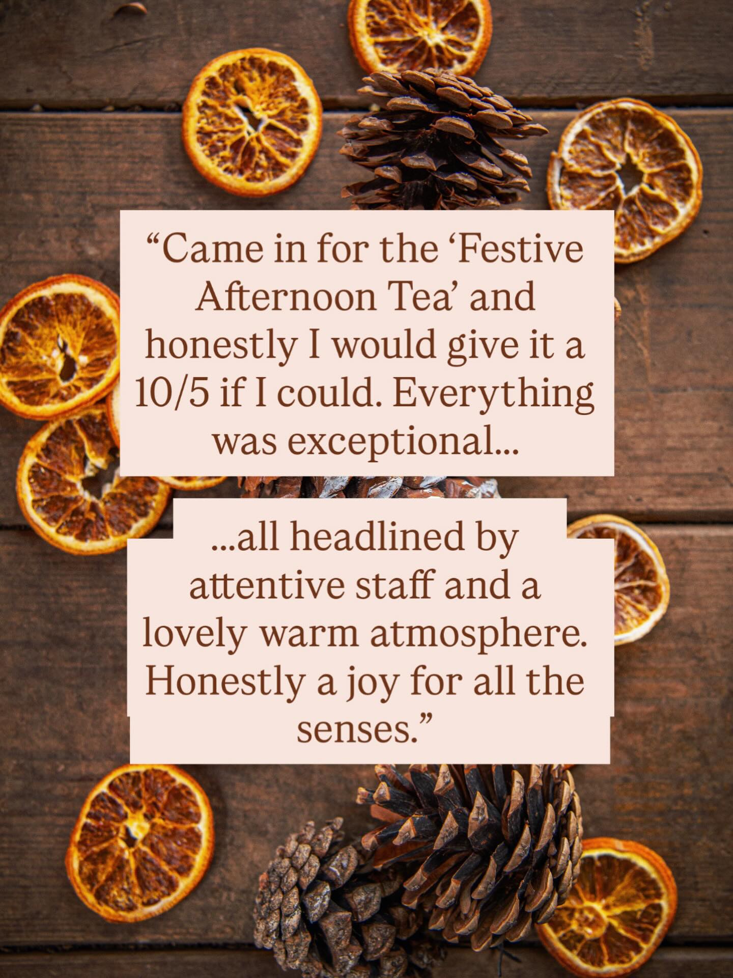 💫 Thank you 💫
A huge thank you to Harrison W for the wonderful review you left on TripAdvisor following your visit to us for a Festive Afternoon Tea.
We’re incredibly grateful for our loyal customers — and for everyone visiting us for the very first time. Your support means everything. 💛
If you’ve spent time with us and loved your visit, we’d be so grateful if you left us a review. It truly helps small businesses like ours shine. 🌟 You’ll find us on Google reviews and Tripadvisor 😁
Thank you, from all of us at AFK. 🙌💛