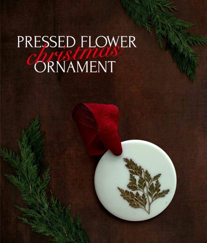 Our Holiday Launch is Here! 🎄
These ceramic pressed flower ornaments bring a soft, natural glow to the season. each one a single-edition design. No duplicates. No restocks. Once a piece is claimed, it’s gone. 👀
FREE SHIPPING when you order two or more ornaments.
The discount applies automatically at checkout, so you don’t need a code! 🥰
If something catches your eye, grab it early. These are perfect for your tree, gifting, or adding a little handmade magic to the season 🎁✨
#limitededition #holidaylaunch #christmasornaments #christmascanada #stockingstuffers #handmadestockingstuffers #christmasgiftideas