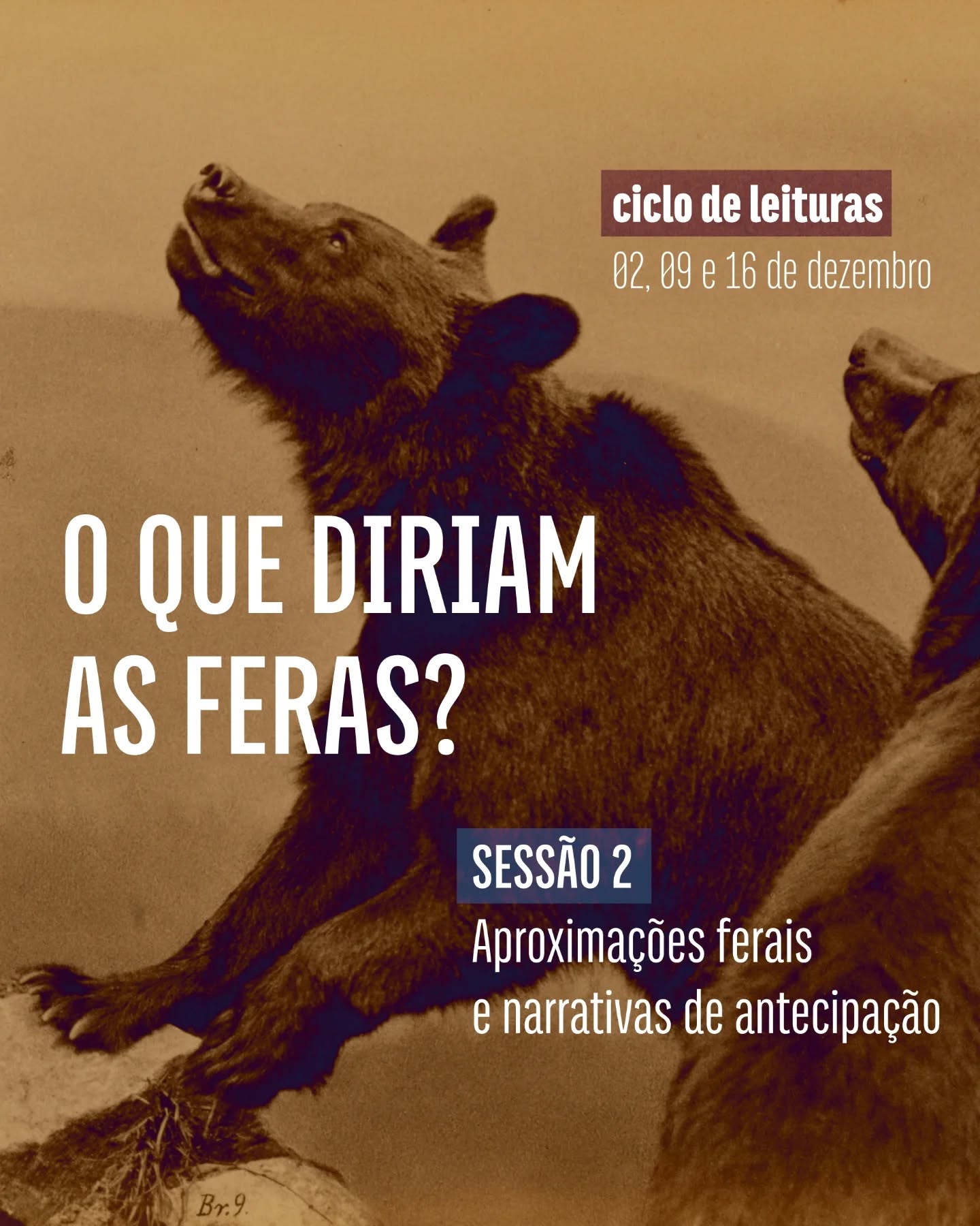 Na segunda sessão do ciclo de leituras “O que diriam as feras? revoltas animais, engajamentos transespécies e antiespecismos subversivos”, seguimos em direção a encontros que desafiam as perspectivas humano-centradas, convocando outros modos de atenção, escuta e imaginação.
A partir da leitura de trechos selecionados de Vinciane Despret (O que diriam os animais? e Autobiografia de um polvo) e Nastassja Martin (Escute as feras), vamos pensar com narrativas que embaralham fronteiras entre mundos, aproximando humanos e mais-que-humanos, para reivindicar outros modos de antecipar, pressentir e responder às presenças que nos acompanham — ou que nos desviam. Histórias de feras, polvos, encontros perigosos, cuidados inquietos e fabulações que nos aproximam de outras corporalidades para pensar e fazer mundo com.
O ciclo de leituras acontece nos dias 02, 09 e 16 de dezembro, em sessões online, entre 17h e 19h30. Para mais informações e inscrições, escreva para humusidades@gmail.com
.
.
.
design por @isisdaou com fotografia de Ottomar Anschütz