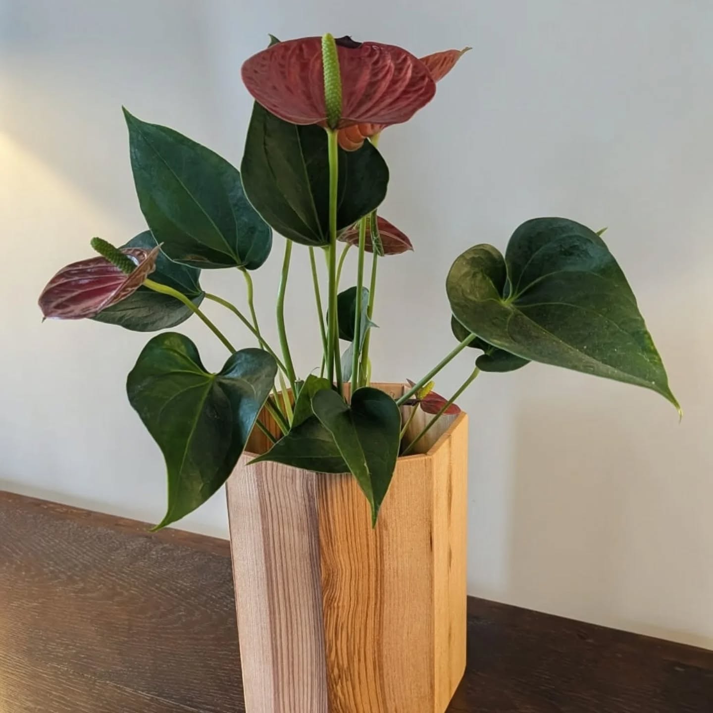 ✨ New in the workshop ✨
Two elegant pots, hand‑crafted from Ash, bringing a light, clean grain that fits beautifully into any kitchen.
Then a striking chopping board made from elm and wenge. Elm with its warm, flowing patterns paired with the deep, rich tones of wenge for a bold contrast.
🌿 Natural materials, timeless design, and built to last. Perfect gift for your loved ones for Christmas.
#woodworking #bespoke #carpentry