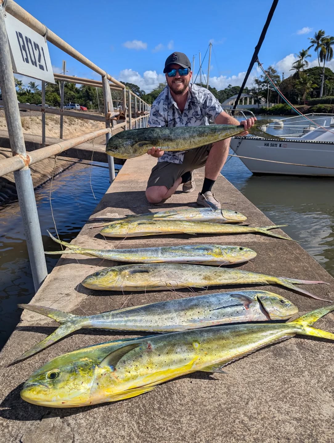 These mahi went flying out the harbor! You got to be quick if you want a bite of these fish!
For charters check out:
Gofishoahu.com
haleiwafishingcharter #mahi #ono #northshoreoahufishing #northshoreoahu #northshore hawaiifishing fathersonfishing oahufishing oahu lines lures rods reels bait tackle polebender pelagicfishing trolling boattrip bottomfishing pelagic freshfish freshcatch mahifishtacos gofishoahu luckylasshaleiwacharters