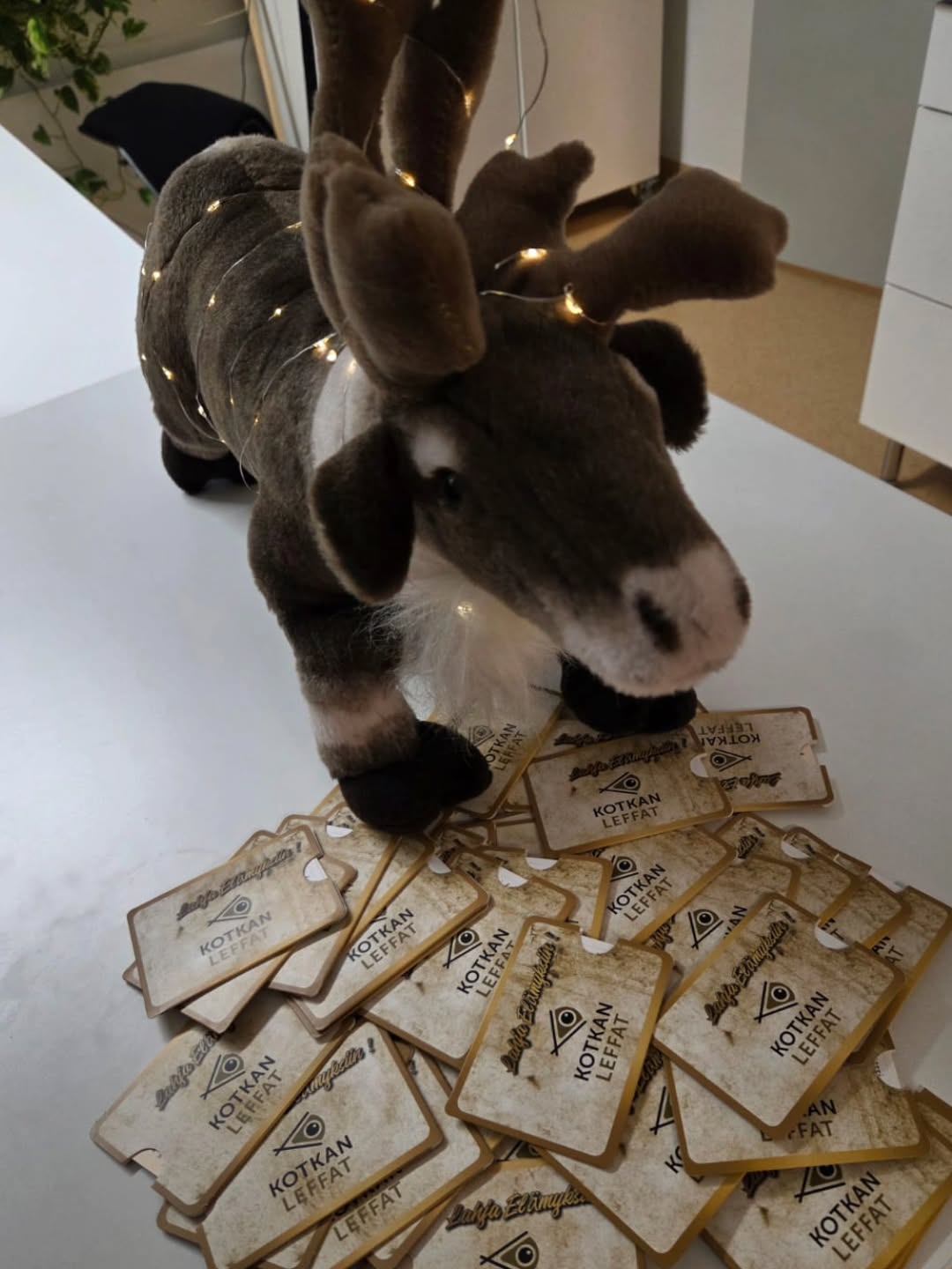 Lahjoitimme leffalippuja ja herkkupasseja lastenosastolle, lastentautien poliklinikalle, lasten neurologian poliklinikalle ja Ratamokeskuksen lastentautien poliklinikalle! Toivottavasti näistä on iloa pienille potilaille🧡