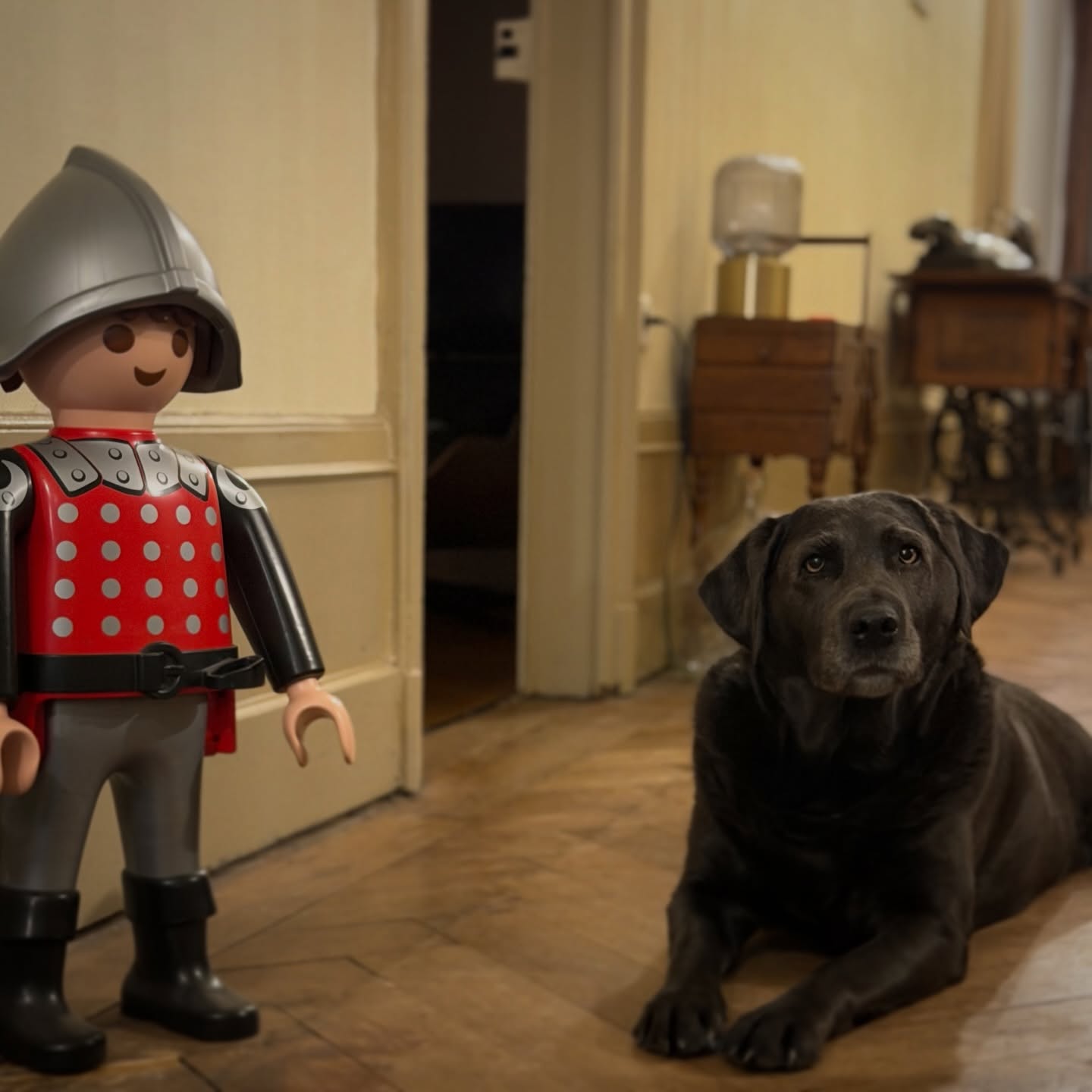 « Bienvenue en notre forteresse… version cosy ! 🏰🐕
Ici, la sécurité est assurée par Sir Playmobil et Ralph, notre labrador « gardien » spécialiste des câlins et des siestes.
⚠️ Spoiler : Le seul danger, c’est de ne plus vouloir repartir.
#chambredhotes #labrador #playmobilchevalier #maisondhôtes #doubstourisme #payshorloger