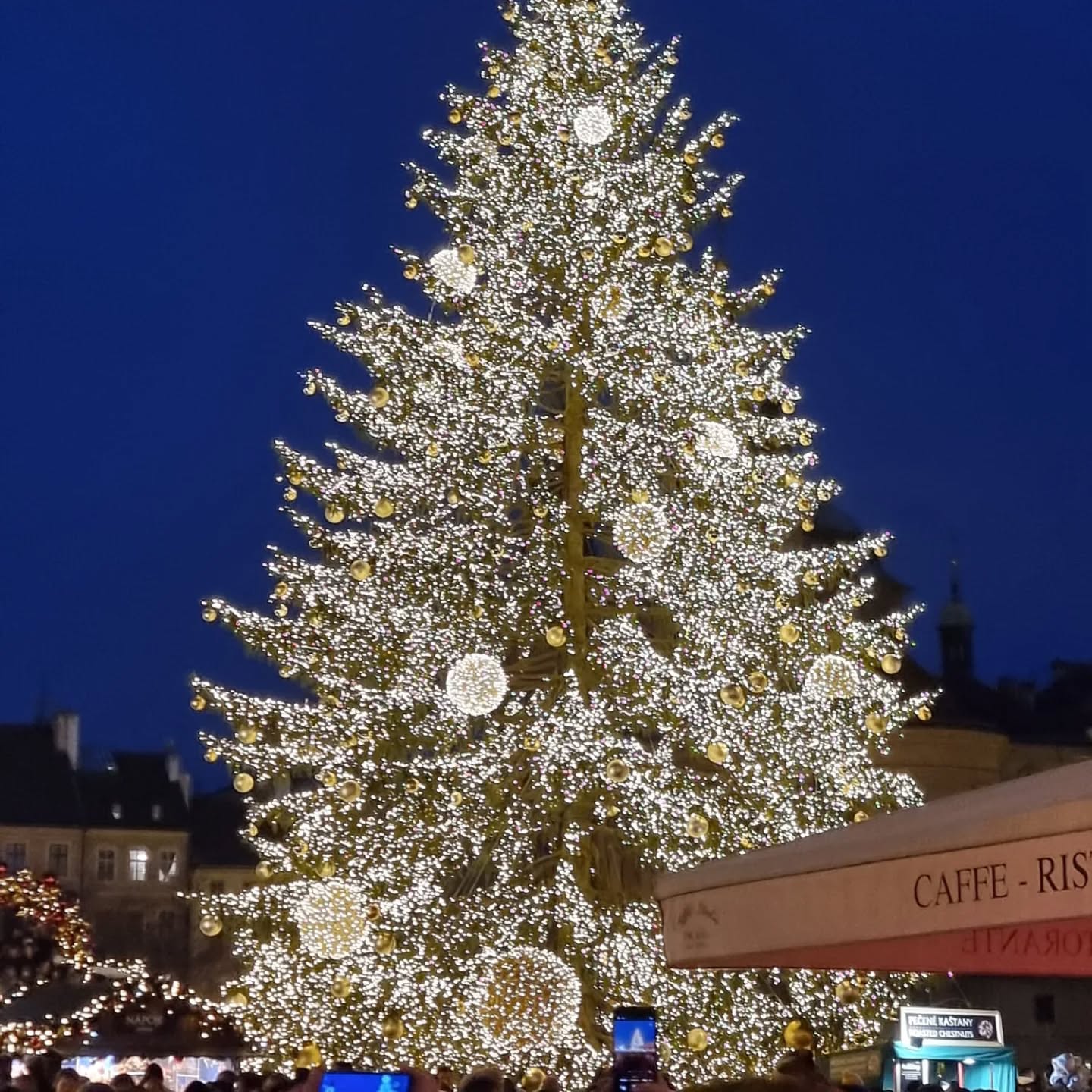 Pečení perníčků 4.12.