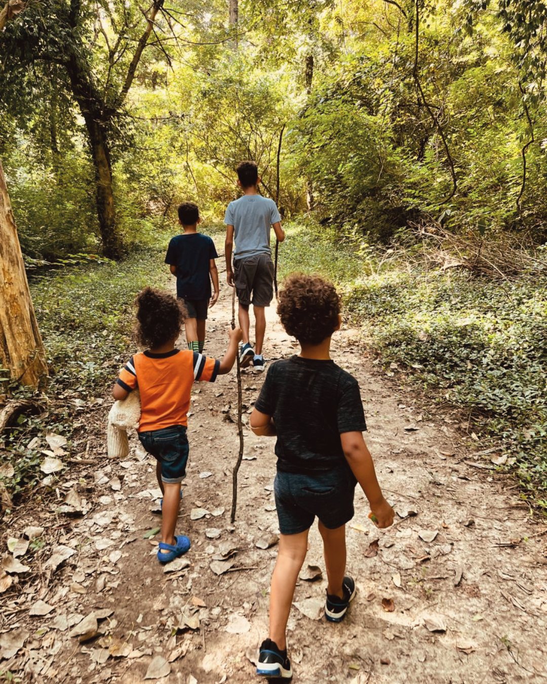 Little explorers welcome 🌿
At The Avenues Estate, forest trails and scenic walkways invite families to slow down, wander, and reconnect. From weekend strolls beneath the trees to sunset moments by the wetlands, there’s always a place to pause, play, and reset.
Ready to explore life at The Avenues? Reach out to our partner agents to arrange a viewing and discover the freedom of living close to nature.
@harcourts_hilton
📞 Brian Wilkes - 082 417 6166
@pgp_midlands
📞 Bridget Erskine - 082 783 8029
@seeff_midlands
📞 Joan Ridl - 072 022 4484
#TheAvenuesEstate #HiltonLiving #EstateLifestyle
#FamiliesInHilton #LittleExplorers #PropertyInvestors
#EasyLiving #NatureInspired #QualityLifestyle