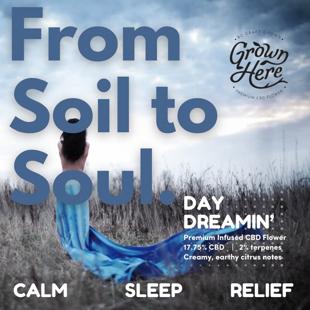 Find our CBD products at a licenced retailer near you. Or for medical customers - at www.herbaldispatch.com. And check out our industry first traceability app at trace.grownherefarms.com providing full transparency on how your flower was grown from our soil to your soul. #bestcbd #bestcbdcanada #organiccbdproducts