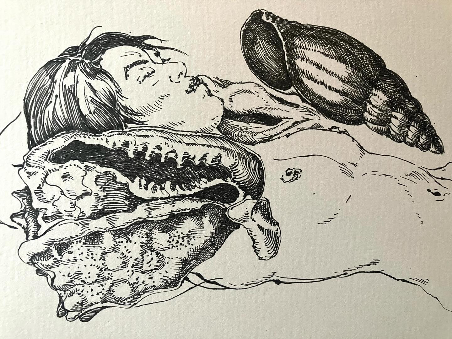 “Et Dieu crea la femme”, pentekening, 2025. #lifedrawing #seashells #etching #figuredrawing #penandink #botanicalprints