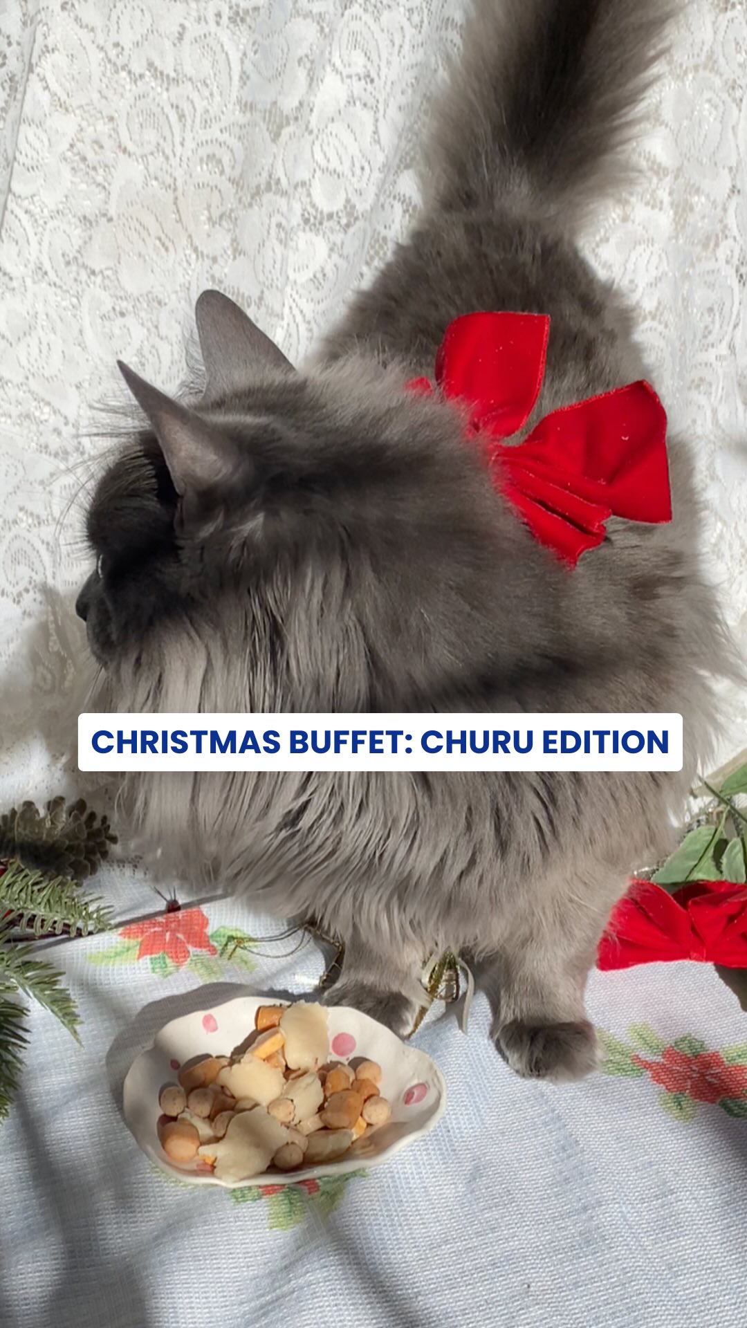 đđŸ Your reminder to spoil your cat this Christmas...
With their very own Churu Christmas Buffet.
Juicy Bites, Purée, Pops and Sprinkles, all served!
#ChuruChristmas #CatmasBuffet #SpoilThatCat #FelineFestivities