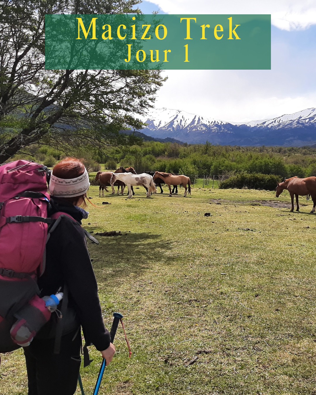 "O" T R E K - P A T A G O N I E
🪶 Retour en plusieurs posts sur un trek emblématique de Patagonie : le "O" Trek ou appelé aussi le Macizo Trek !
➡️8 jours et 7 nuits dans le parc Torres del Paine - environ 130km - Entre fjords, glaciers et baies de calafate.😋
🥾Pour ce trek, nous avons décidé d'être en autonomie, c'est à dire de porter notre nourriture pour 2 et pour les 8 jours, de porter la tente, nos duvets et matelas de sol.
On va pas se mentir, on a connu des sacs plus légers !
🌄Jour 1 : Départ du Parc National
Une fois arrivés dans le parc, on choisit de ne pas prendre le bus qui nous rapproche du sentier de départ pour vraiment marcher sur la totalité du trek. (Boucler la boucle pour de vrai quoi).
😁 Et hop 7km d'échauffement !
La météo est top pour ce départ, mais les nuages nous montrent que le vent est fort là-haut ! (📸2).
🌬 Prions que le Dieu WindGuru (app' super pratique pour la météo) soit de bonne humeur pour plusieurs jours !
Après 20km de marche pour ce 1er jour, nous arrivons dans le premier campement : Seron.🏕
Sur tous les campements du trek, on peut soit prendre un emplacement pour poser la tente perso, soit prendre une tente aménagée déjà toute installée, soit dormir au refuge.
Bien sûr tout est à réserver en amont du trek et les places partent vite ...
✅️Merci à @hikinpatagonia d'avoir géré ça pour nous !😍
#patagonia #trekking #chili #torresdelpaine #trek #chile #sport #montagne #lake #lago #macizotrek
