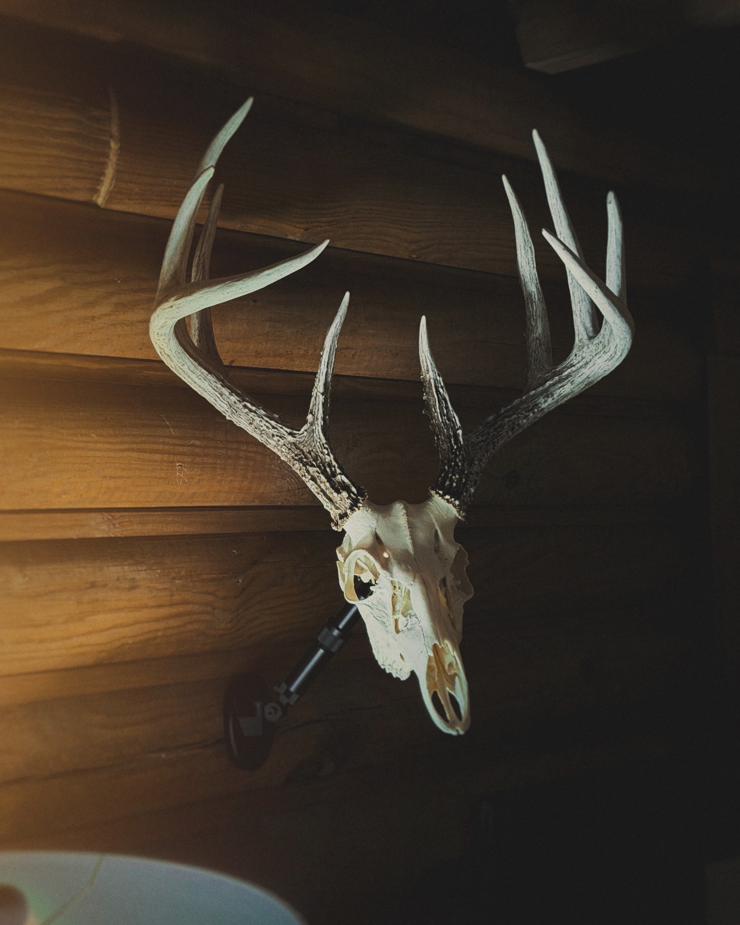 @bloodlinesarchery got the UX1 installed with a fantastic euro trophy! Thanks for sharing it with us Justin! Look’s awesome!!!
.
.
.
#uroadx #euromount #deerhunting