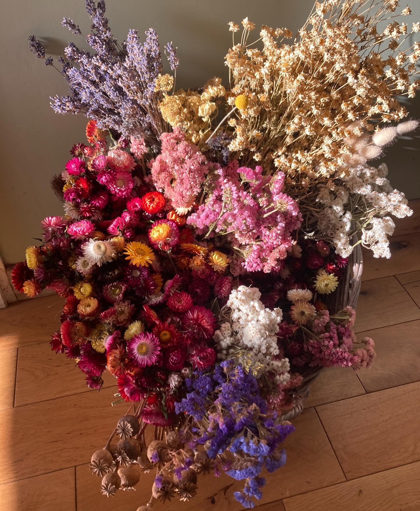 Dryed flowers from my garden coming with me to the workshop to make wreaths today. Seeds planted, flowers collected and dried have been a source of hope for me over these last months. Now to weave beauty and creativity- the work that fills my soul.
Come find them with @falmouth_shiatsu_qigong at Potager Market on 7th December.
#wreaths #driedflowers #abubdance #creativity