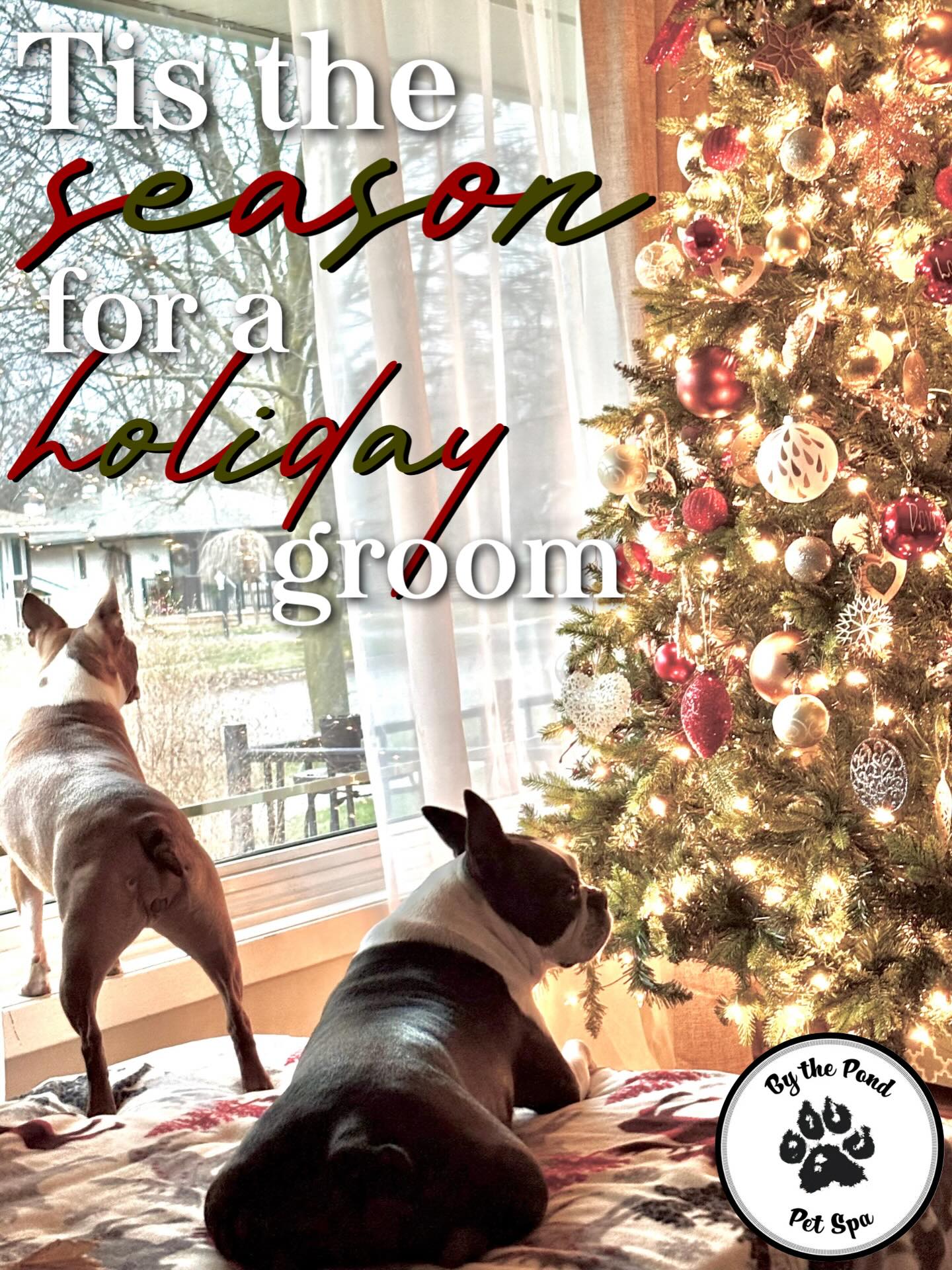 We’ve got December availability, book now!
Text or call us today 🎄
(519) 241-1552
#bythepondpetspa #doggroomers #doggroomerlife #doggroomersofig #smallbusinessowners #supportsmallbusiness #dogsofinstagram #northdumfriesontario #parisontario #womeninbusiness #dogsofinstagram #aplacetolovedogs #fortheloveofdogs #doggroomingofinstagram #paw #doggo #dogsofinstagramworld