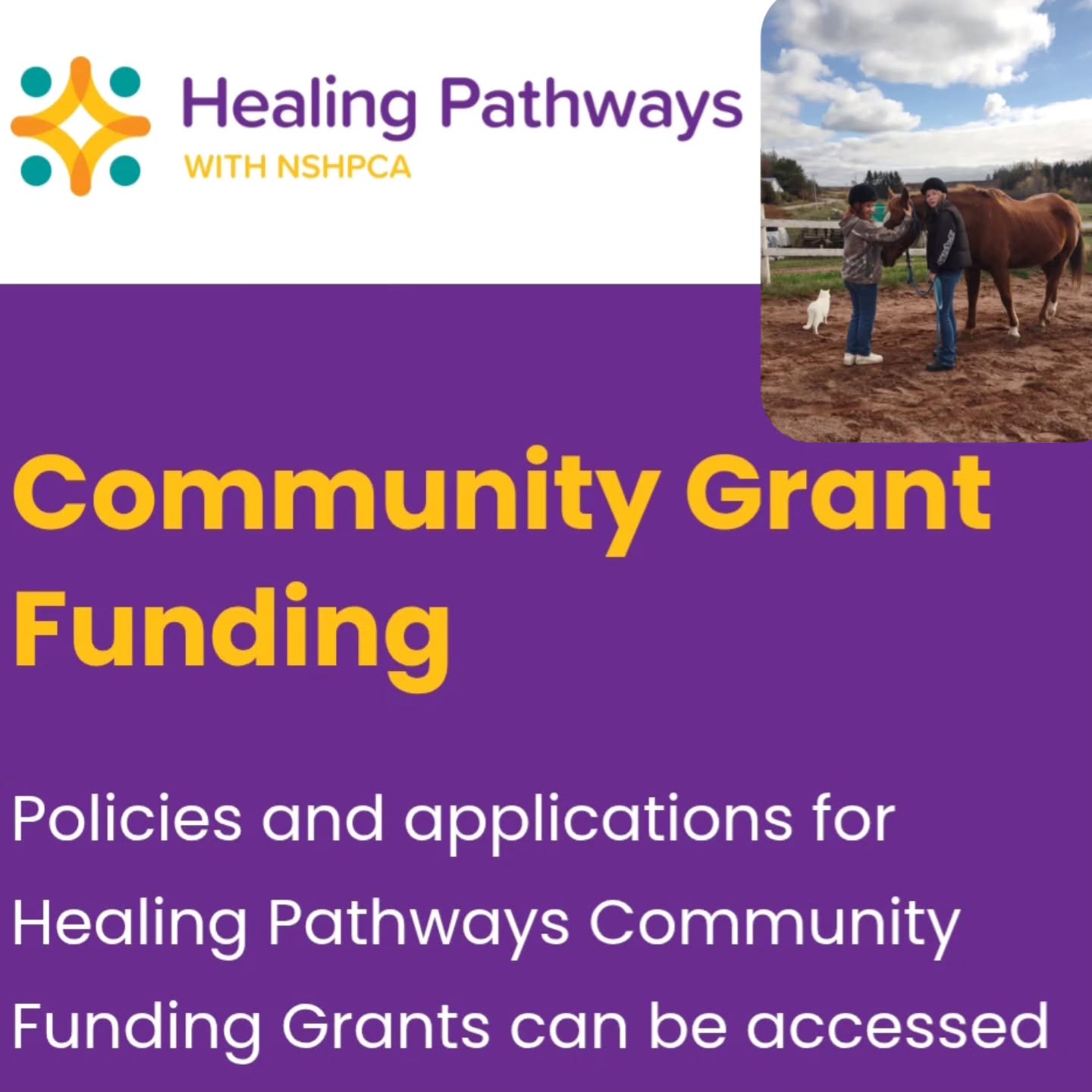 We had great feedback from the junior high students at WCCS who attended a day of Equine Assisted Learning in October. We thoroughly enjoyed having you! Here's what they had to say:
๐ "A Huge Thank You to Spirit Reins Horse Ranch! ๐
Our junior high students recently had the most incredible experience at Spirit Reins Horse Ranch, and weโre so excited to share some highlights with our families and community.
A special thank-you goes out to Karen and the entire Spirit Reins team for welcoming our kids with such patience, care, and kindness. They created a calm, supportive environment where students felt comfortable trying something completely new.
๐ด What our students said:
๐ฌ โIt was so fun and I loved it!โ
๐ฌ โI was a little nervous at first, but then it was really fun.โ
๐ฌ โI want to go again!โ
โจ The SocialโEmotional Gains Were Amazing
Before the visit, many students shared that they felt excited and nervous. After the experience, those nervous feelings disappeared โ replaced by confidence, pride, joy, and a strong sense of accomplishment.
Survey data showed students grew in:
โข Emotional regulation โ staying calm, managing nerves, and using the horsesโ calming presence
โข Confidence โ trying something new and discovering they could do hard things
โข Self-awareness โ better noticing and describing their feelings
โข Social connection โ supporting each other, encouraging peers, and working together
The day was so much more than riding horses โ it was about wellbeing, courage, and connection.
โจ Thank you to the Healing Pathways Grant and the West Colchester Medical Society for making this experience possible. Your support gave our students a meaningful opportunity to grow emotionally, build resilience, and experience something truly unforgettable.
We are so grateful for this partnership and for the joy it brought to our students." โค๏ธ
#equineassistedlearning #ealcanada #healingpathways