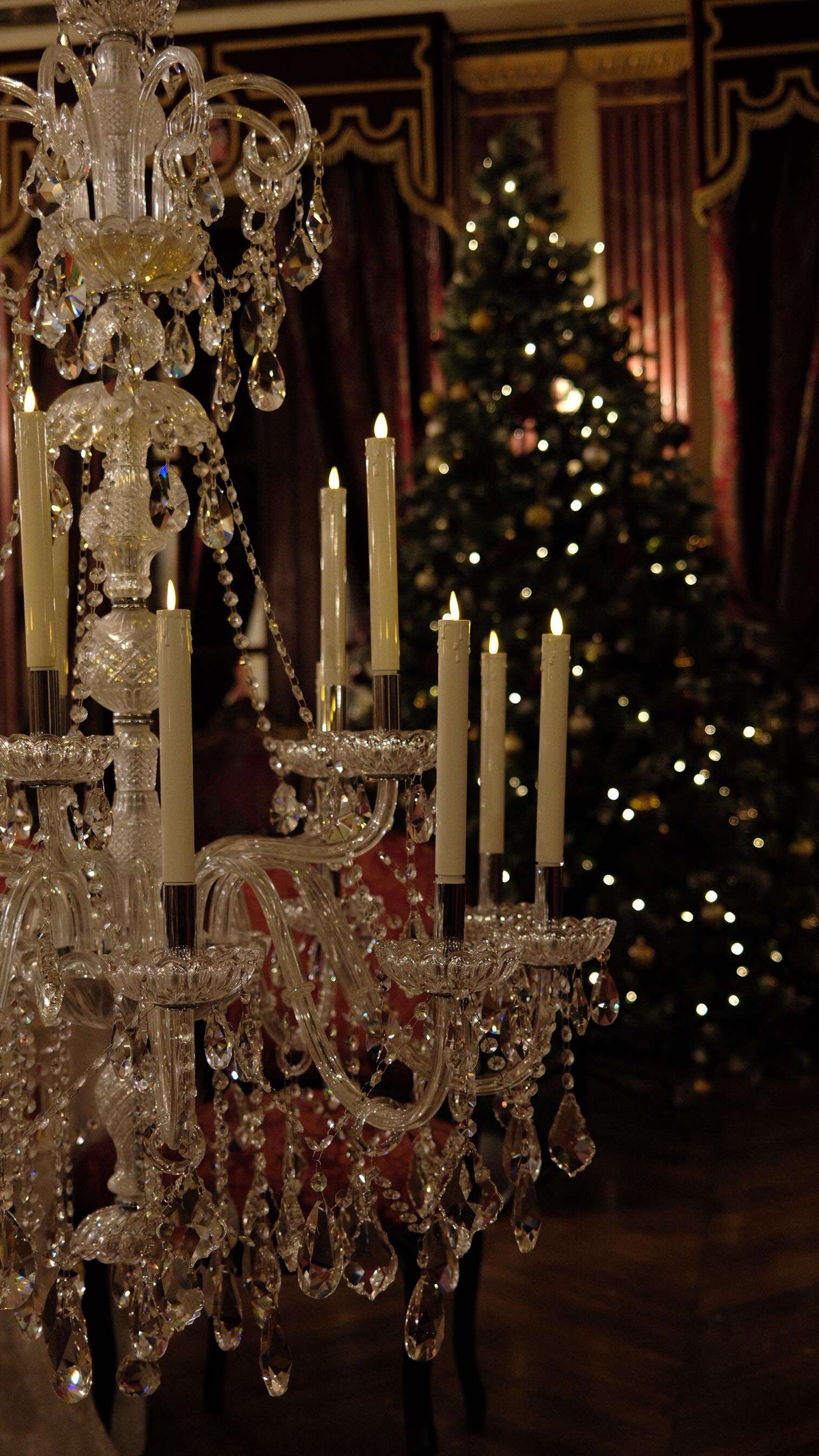 ✨ Au château, même les lustres se préparent pour les fêtes…
Petite mise en beauté :
on les descend, on les nettoie, on change tout le système de bougies…
et ils remontent prêts à illuminer décembre. ✨🎄
La magie commence toujours dans les coulisses.
Ici, chaque détail compte, surtout à Noël. 🤍
#ChâteauDeLaVillaumaire #VieDeChâteau #DécembreAuChâteau #CoulissesDuChâteau
#NoëlAuChâteau #Lustre #ChristmasVibes #RénovationChâteau #Patrimoine #FrenchHeritage
#DécorationsDeNoël #MagieDeNoël ✨