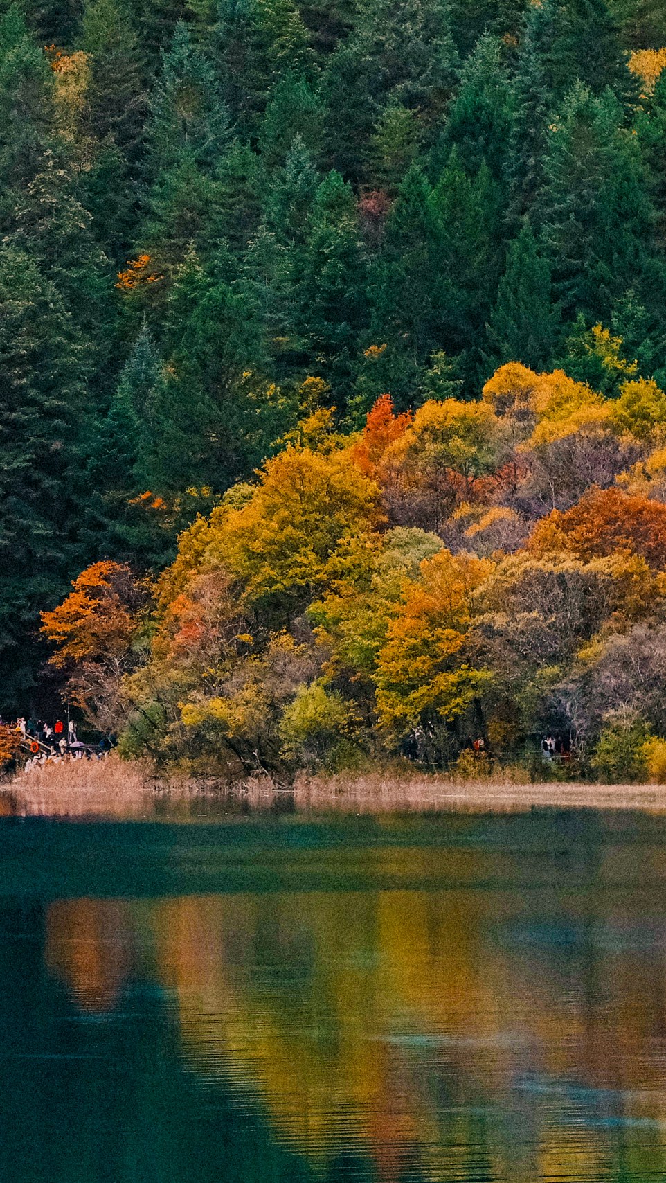 🍂🌄 Textbook Beauty of China: Jiuzhaigou in Color
You’ve seen the pandas and tasted the fiery hotpot - now complete the Sichuan trilogy with the landscape every textbook describes: Jiuzhaigou in autumn.
Just a short high-speed rail ride from Chengdu lies a realm where water dreams in color. Here, lakes hold entire forests in their crystal mirror, and Tibetan villages rest beneath peaks painted in gold and crimson.
Turn the page. Walk into the picture.
Follow @woksandwonders for China’s most iconic journeys.
#TextbookChina #JiuzhaigouAutumn #SichuanTrilogy #TibetanPlateau #WoksAndWonders