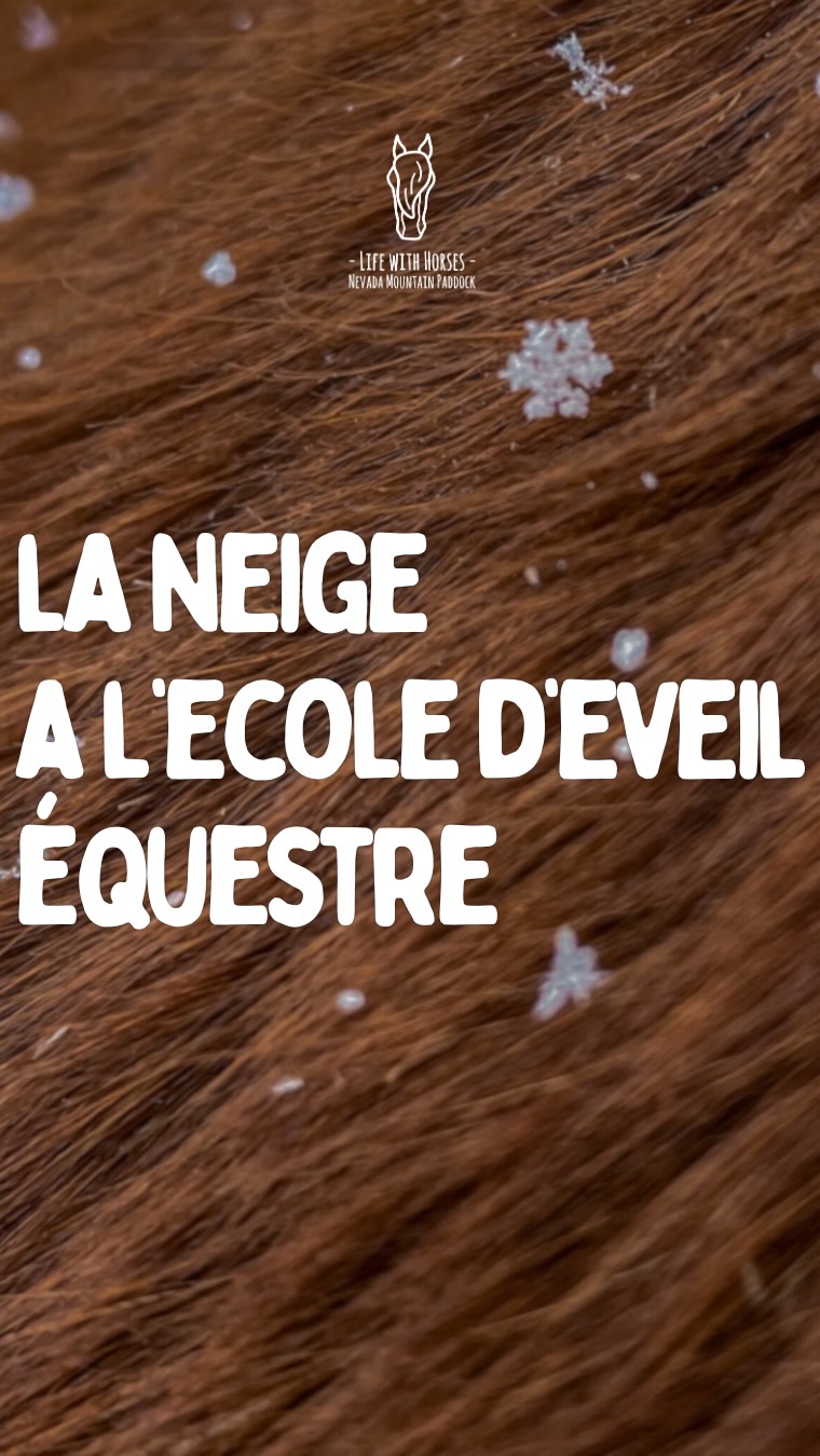 ❄️ L’Hiver commence déjà à nous faire signe… pour le plus grand bonheur des enfants, petits et grands 🤪
Chez Nevada Mountain Paddock, quand la neige est là, c’est Poney Luge!
@pyrenees.cerdagne
@dorresvillage
@zoee.prkr
#cerdanya #neige #snow #noworkingonpowderdays #equitation #jeuxequestres #ridewithconnection #equitationbienveillante