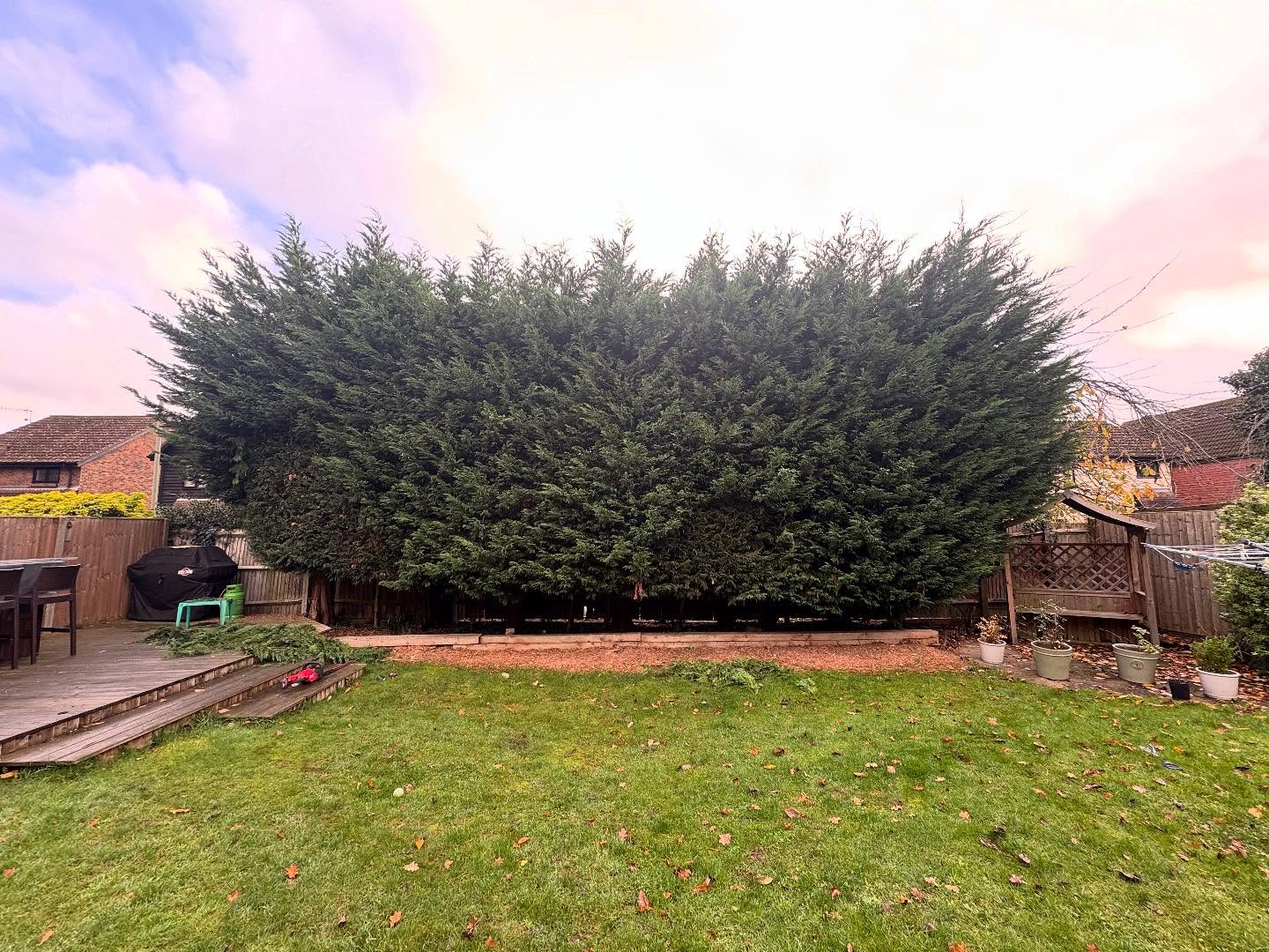 A quick before & after of a small trimming job completed in Horley.
#Arborist #hedgetrimming #conniebashing