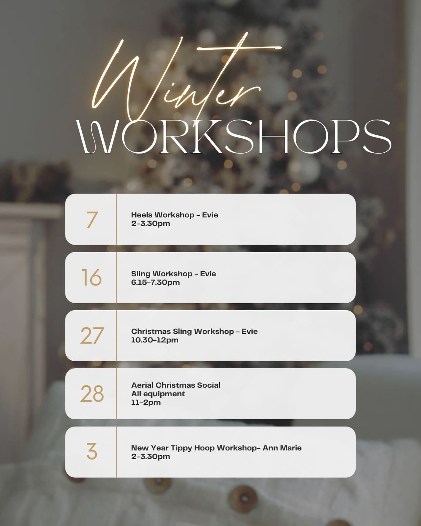 Our upcoming winter workshops ❄️ #aerialworkshops #aerialdance #danceclass #devon