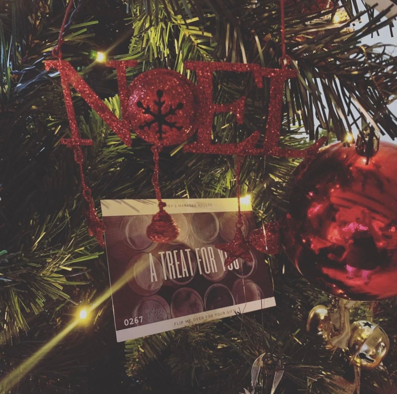 Looking for a Christmas present for a family member?? Our favourite locals?? You know where to come ❤️🤣