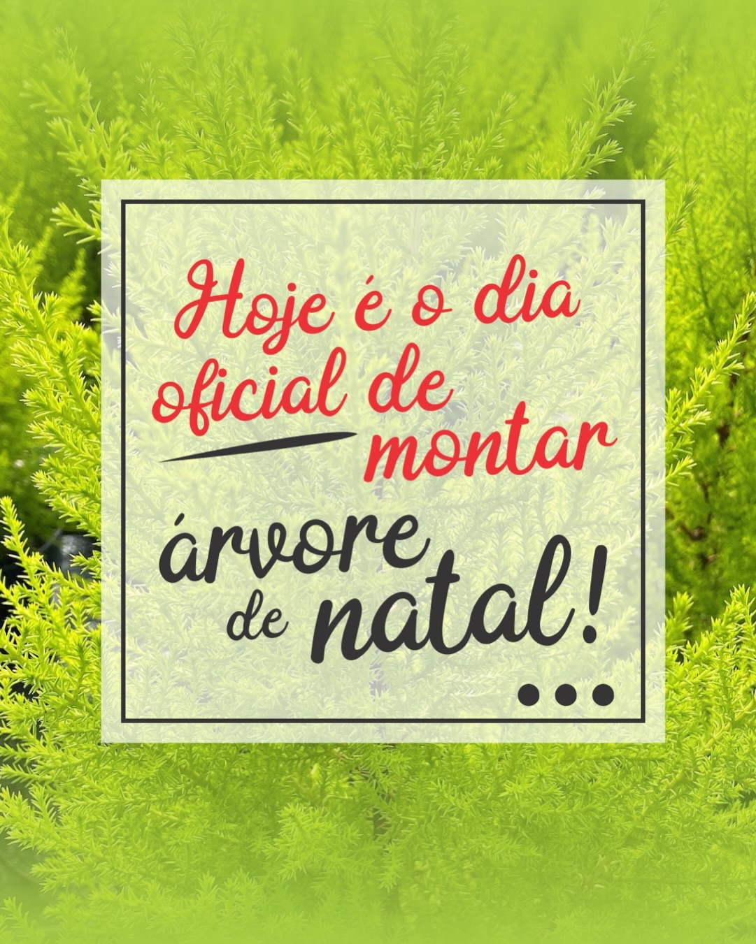 Já montou a sua árvore de Natal? 🎄✨
Na tradição cristã, ela é montada no primeiro domingo do Advento, as quatro semanas que antecedem o Natal e simbolizam a preparação para essa data tão especial.
E você, já começou a montar a sua árvore de Natal?
Comente aqui 👇
#arvoredenatal #natal #diademontaraarvoredenatal #christmasdecor #christmas