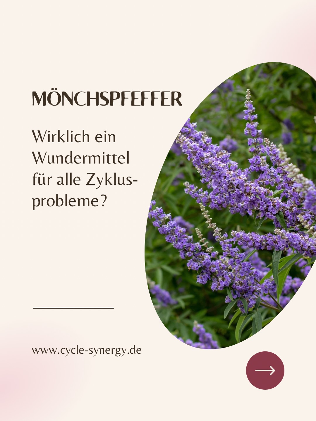 Mönchspfeffer wird häufig als universelle Lösung für Zyklusbeschwerden dargestellt. Die wissenschaftliche Evidenz zeigt jedoch ein differenziertes Bild: Seine Wirkung beruht auf der Senkung von Prolaktin und entfaltet sich nur dann, wenn ein erhöhtes Prolaktin oder eine gestörte Kommunikation zwischen Hypophyse und Eierstöcken ursächlich beteiligt ist.
Das erklärt, warum viele Frauen mit PMS, Brustspannen oder einer verkürzten Lutealphase von Mönchspfeffer profitieren – und warum er bei PCOS, hypothalamischer Amenorrhö, in der Stillzeit oder während medizinischer Kinderwunschbehandlungen nicht geeignet ist.
Auch die richtige Form und Dosierung ist entscheidend: Studien arbeiten mit standardisierten Trockenextrakten, nicht mit Beerenpulver, und die Wirkung entwickelt sich erst über mehrere Zyklen.
In meinem Blogartikel erfährst du, wann Mönchspfeffer helfen kann, wie er richtig eingesetzt wird und worauf du achten solltest.
👉 Link in der Bio.
💬 Hast du bereits Erfahrungen mit Mönchspfeffer gemacht? Schreib es gern in die Kommentare oder markiere eine Freundin, die das Thema interessiert.
#zyklusgesundheit #pms #frauengesundheit #hormonbalance #moenchspfeffer #vitex